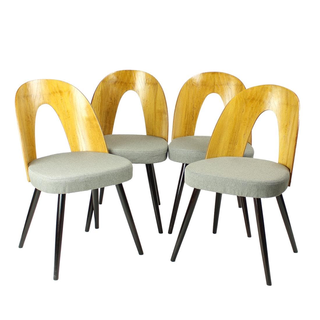 Set of four chairs, light grey, oak, by A. Šuman, Tatra Nabytok, Czechoslovakia, 1960s.