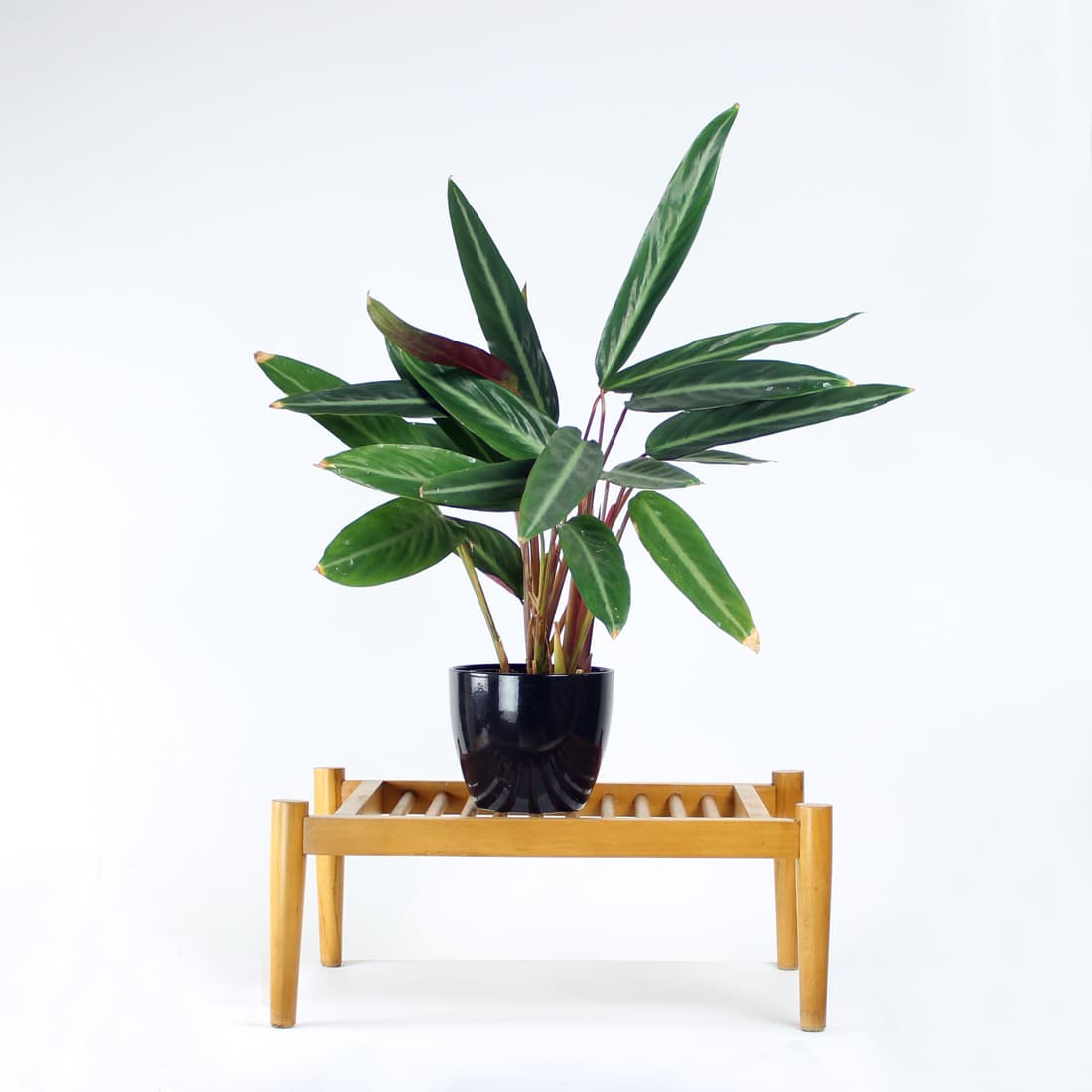 Plant stand, light brown oak, by F. Mezulanik, Czechoslovakia, 1960s. - 91094