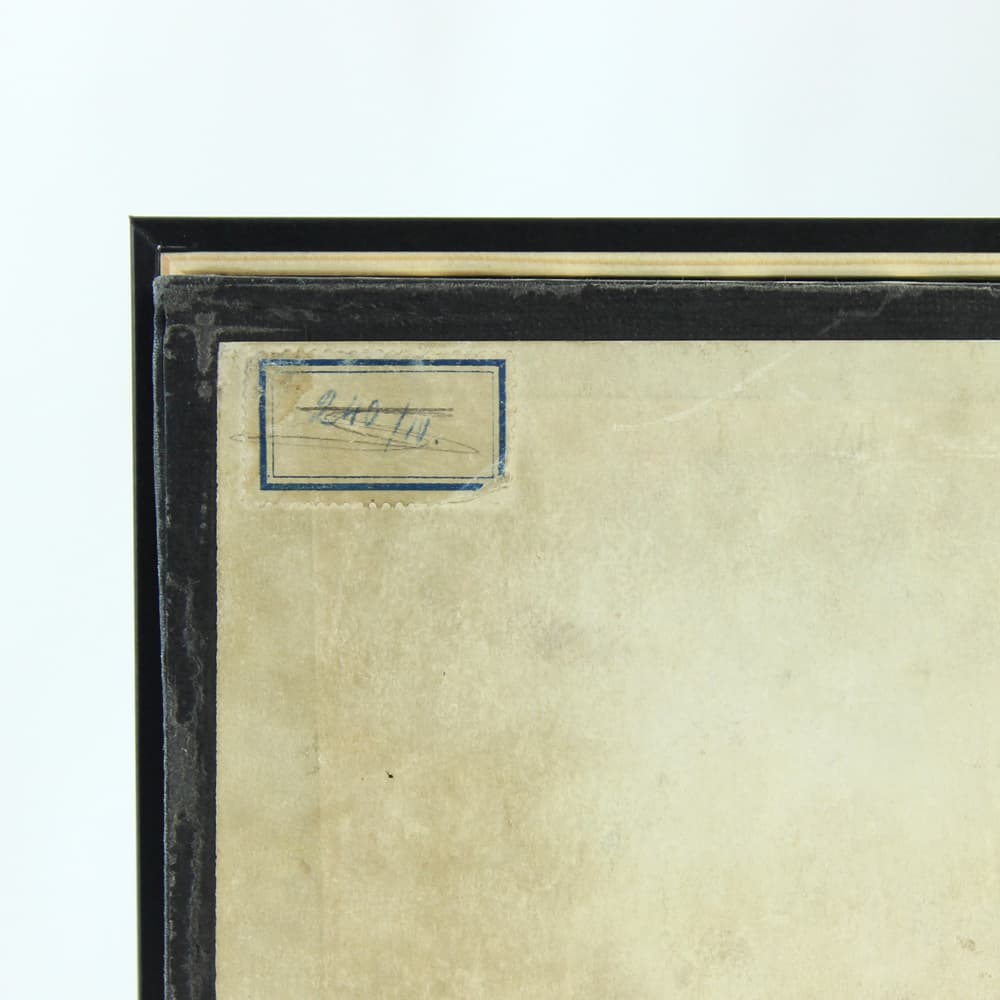 Plansza entomologiczna, modernizm, drewno czarne, Czechosłowacja, lata 60. - 91235