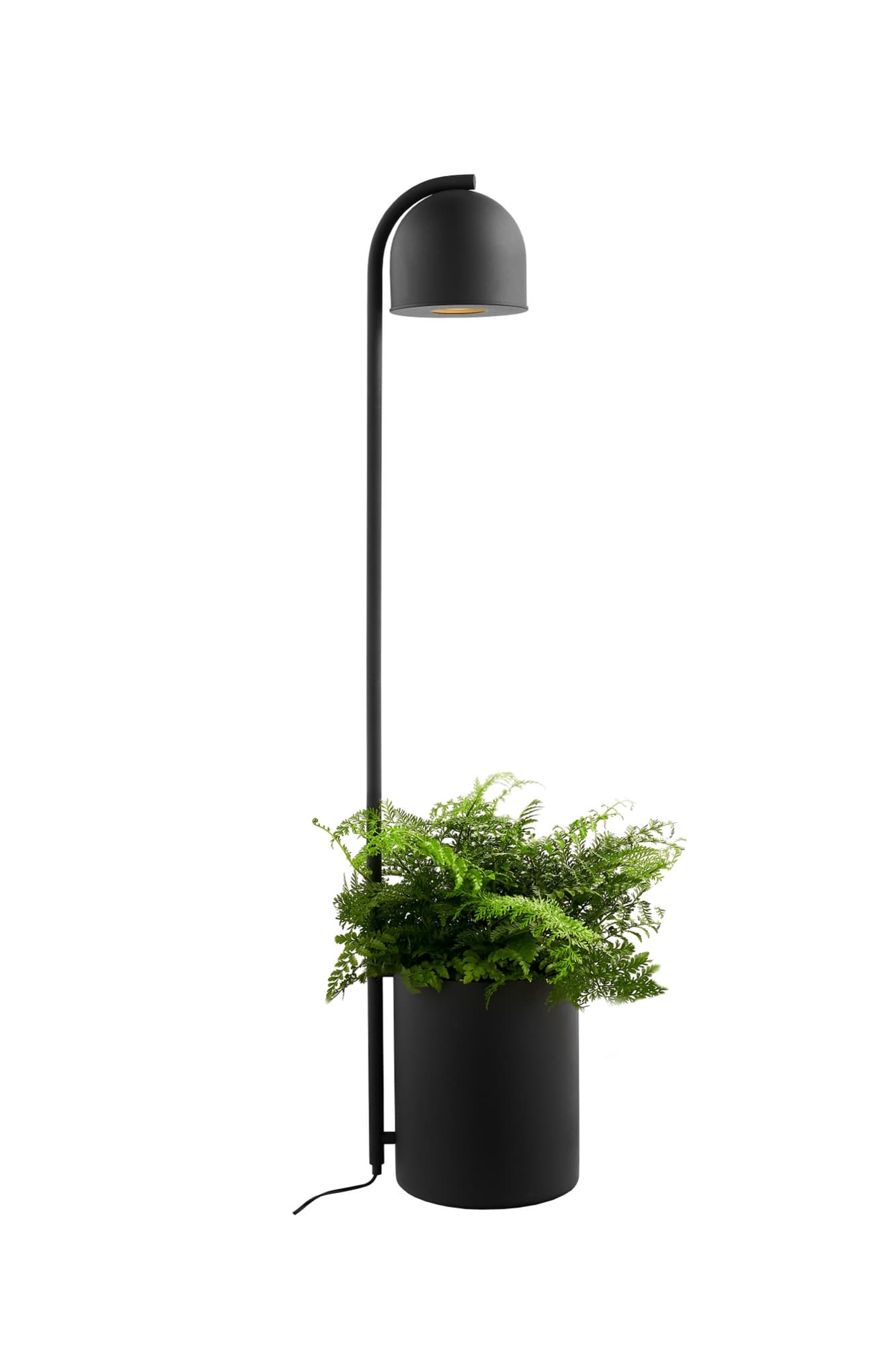 Lampa podłogowa BOTANICA XL czarny, Kaspa - 6736