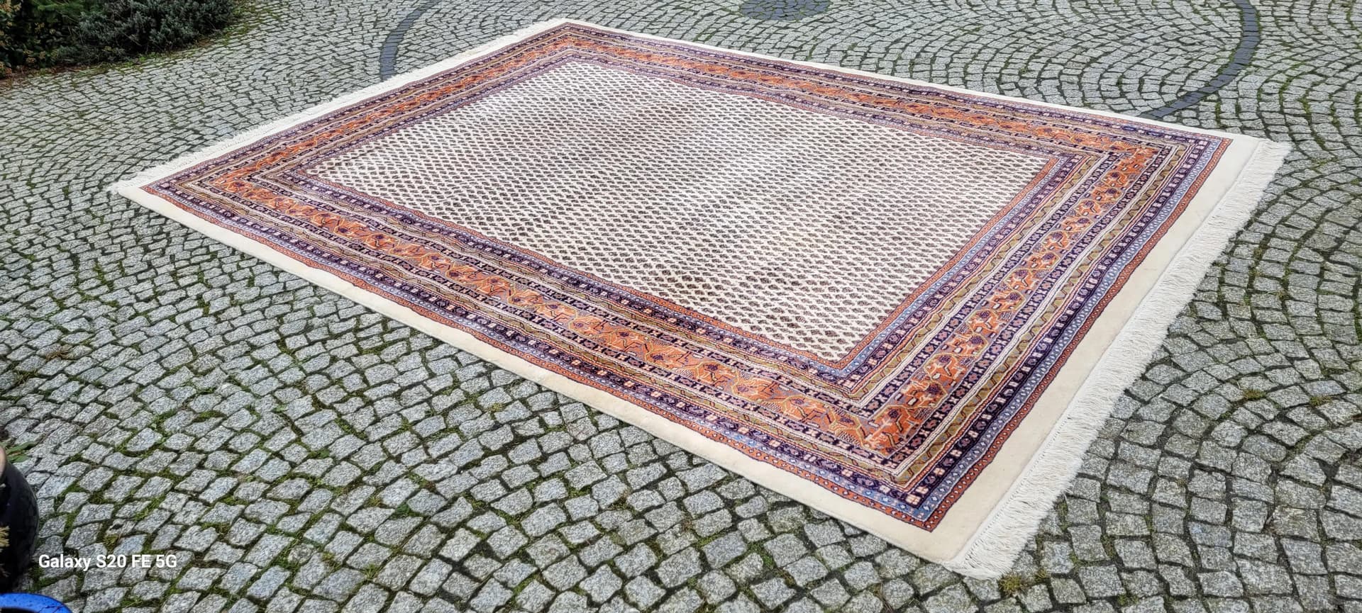 Dywan Indo Saroug Mir 230x340 cm, beżowy, wełna, Indie - 88707