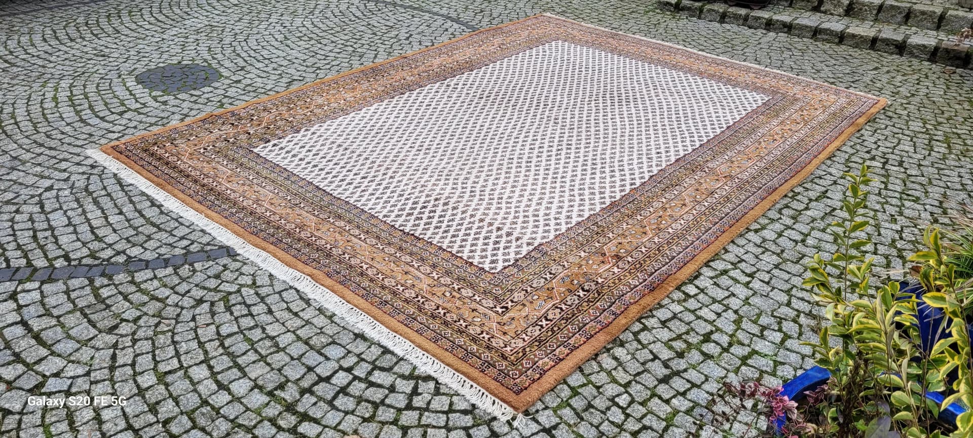 Dywan Indo Sarough Mir 255x355 cm, beżowy, wełna, Indie - 88683