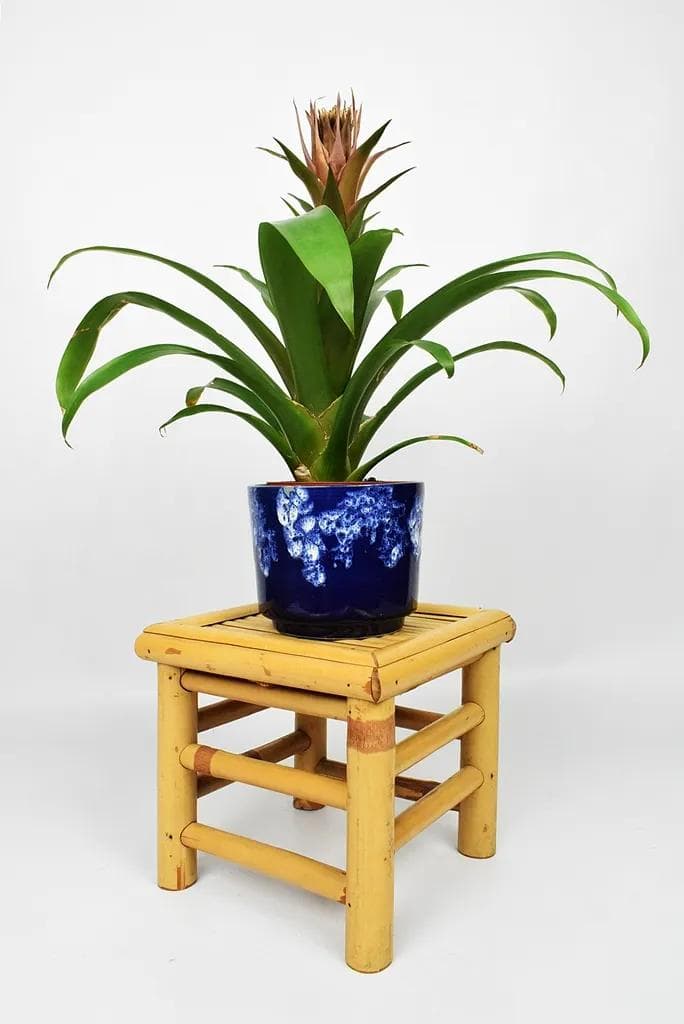 Osłonka na doniczkę Fat Lava, ceramika biała, granatowa, lata 70. - 86193