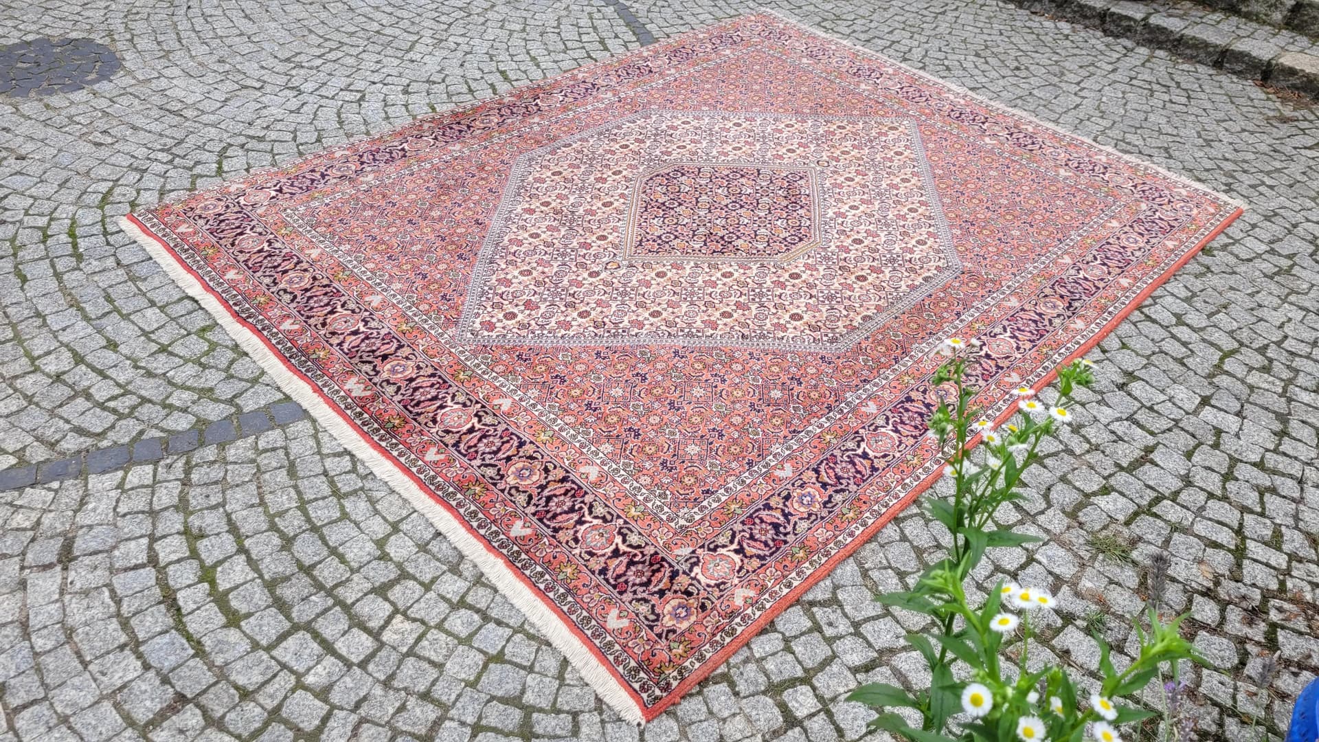 Dywan Bidjar Takab, czerwony, wełna, Iran, 205x270 cm - 88504