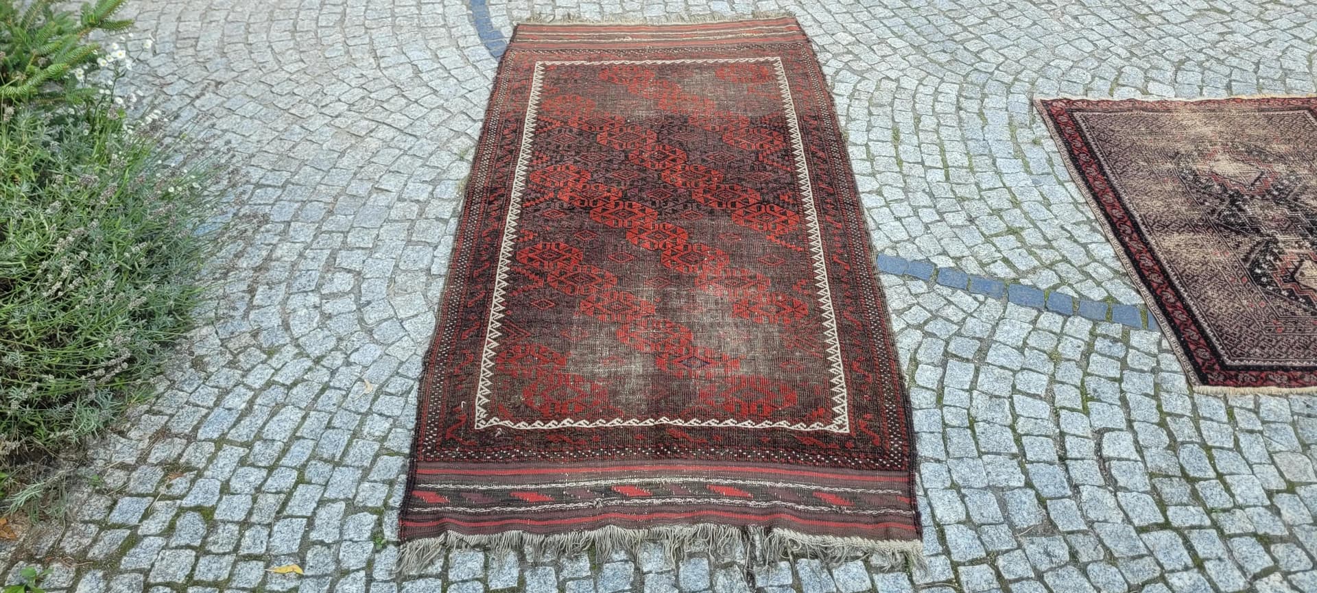 Dywan Beluch, 100x200cm, brązowy, wełna, Afganistan, pocz. XX w. - 88465