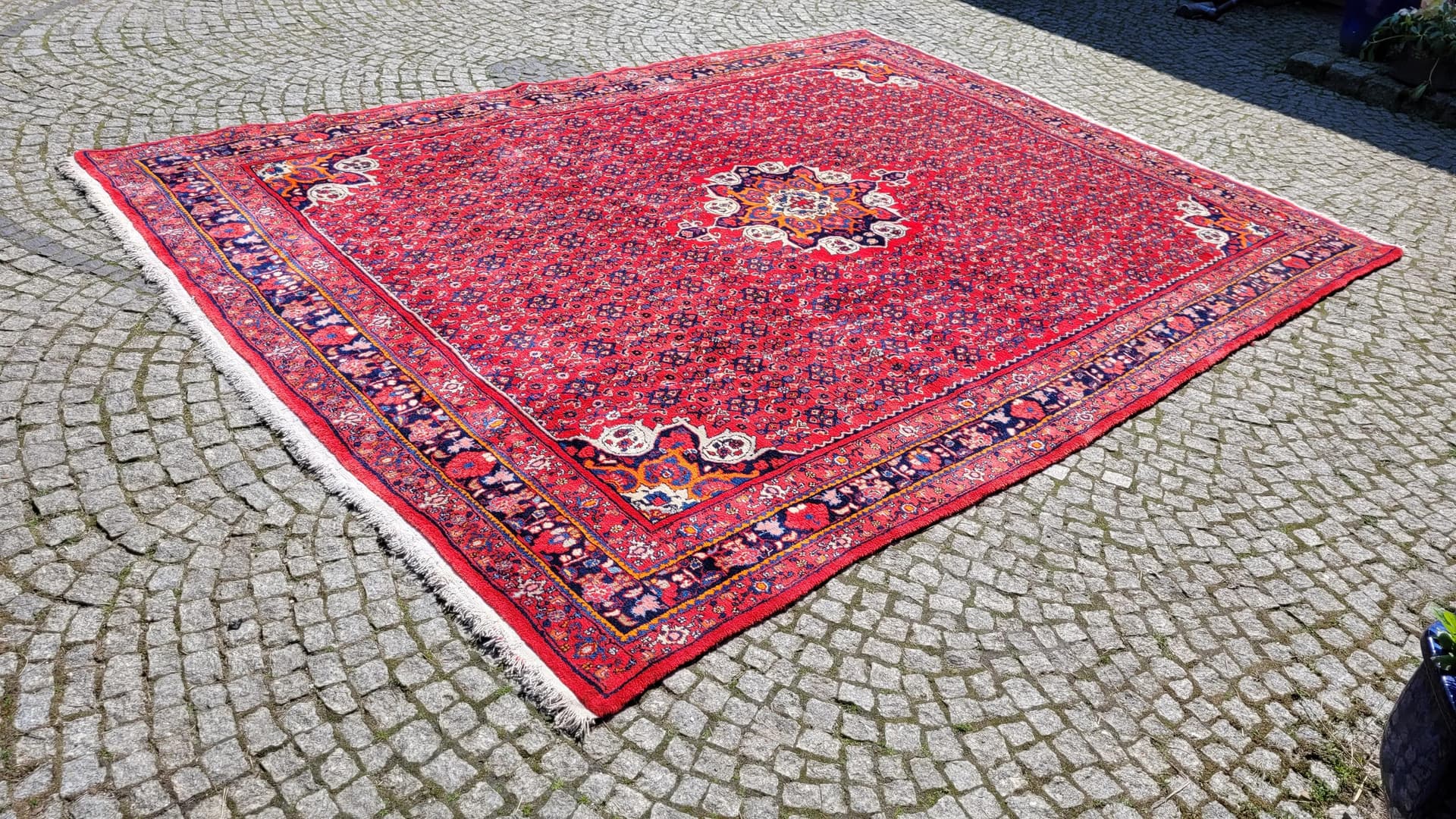 Dywan Bidjar, 265x360 cm, czerwony, wełna, Iran, początek XX w. - 88461