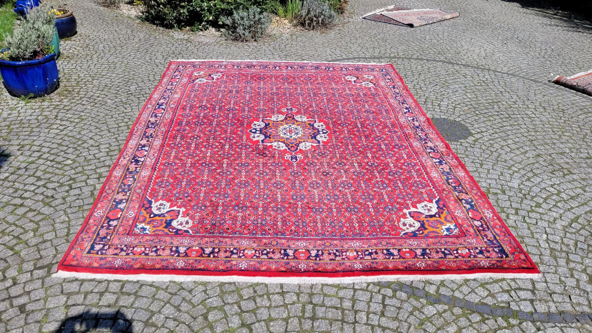 Dywan Bidjar, 265x360 cm, czerwony, wełna, Iran, początek XX w. - 88458