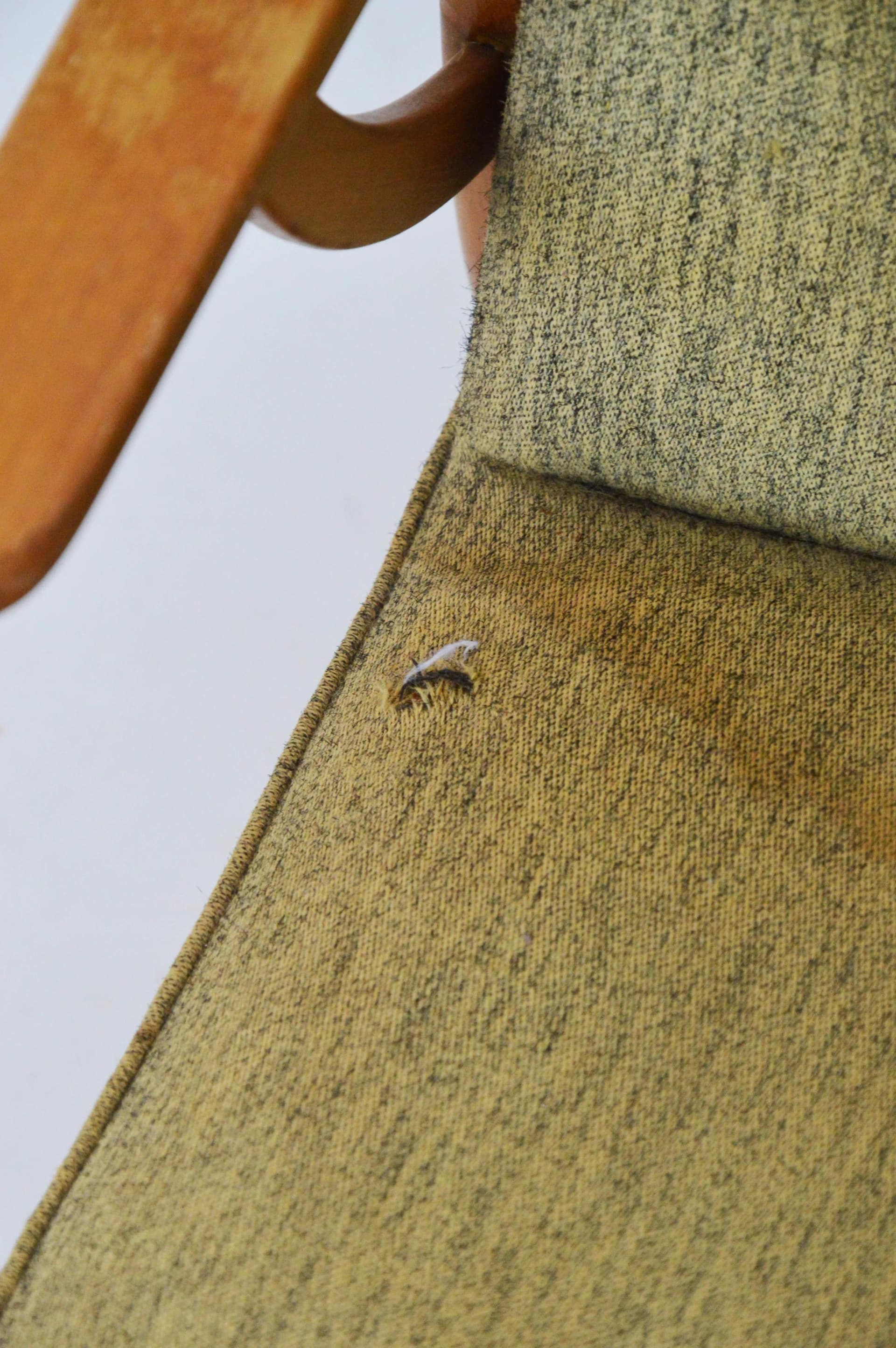 Fotel, drewno brązowe, Polska, lata 70. - 85489