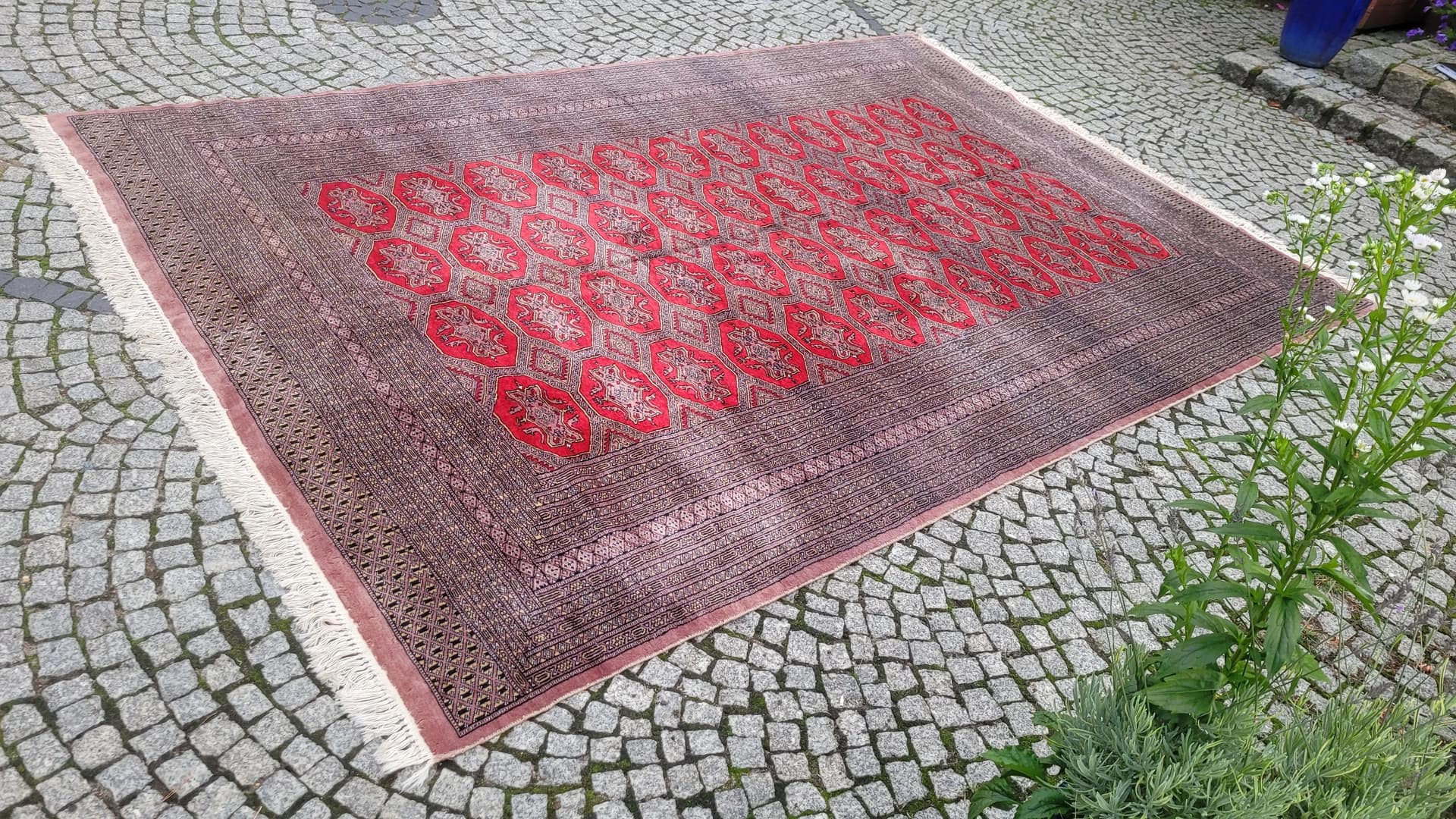 Dywan Buchara 220x340 cm, czerwony, wełna, Pakistan - 87867