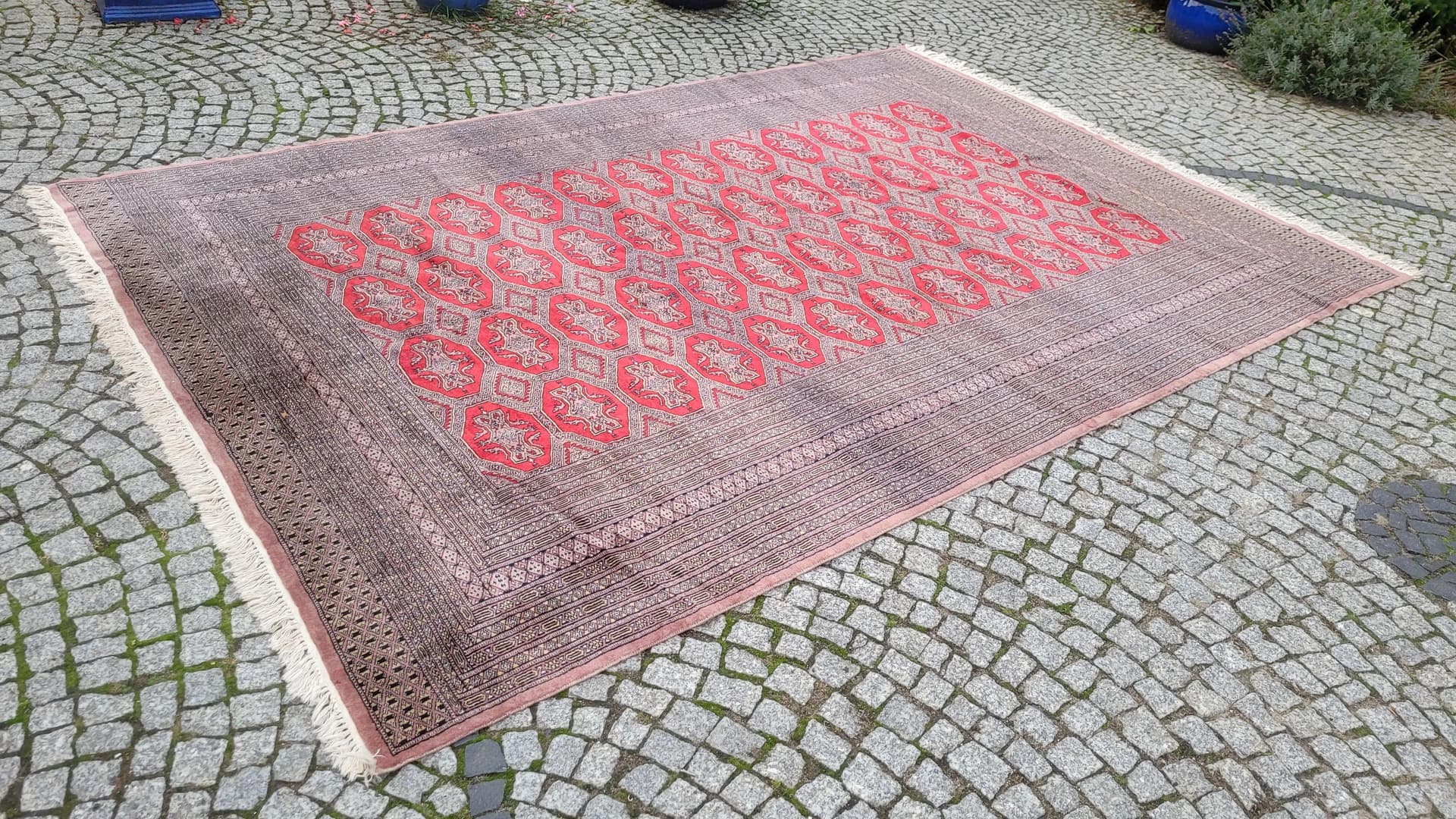 Dywan Buchara 220x340 cm, czerwony, wełna, Pakistan - 87871