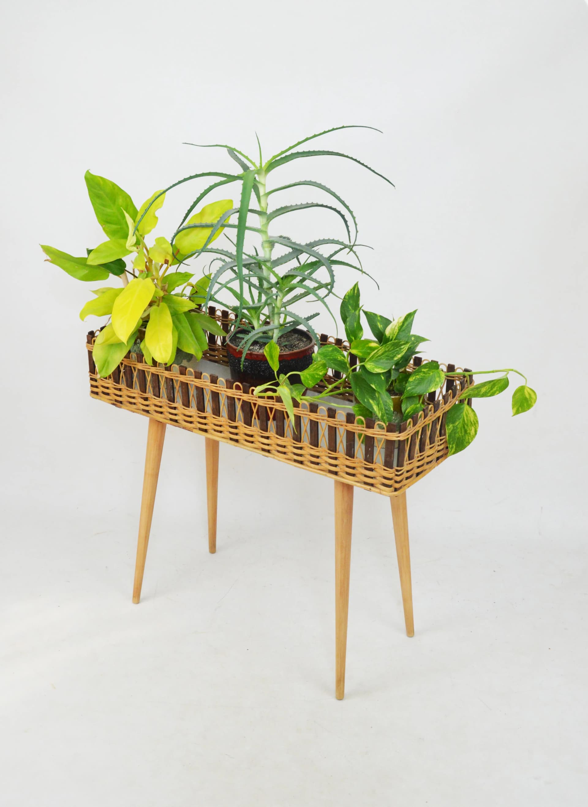 Plant stand, brown rattan, Poland, 1970s. - 84699