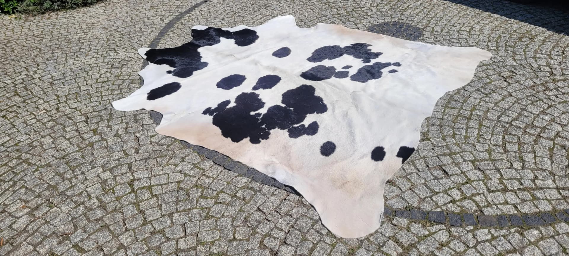 Dywan cielęcy, kremowy z czarnym, skóra cielęca, Polska - 87468