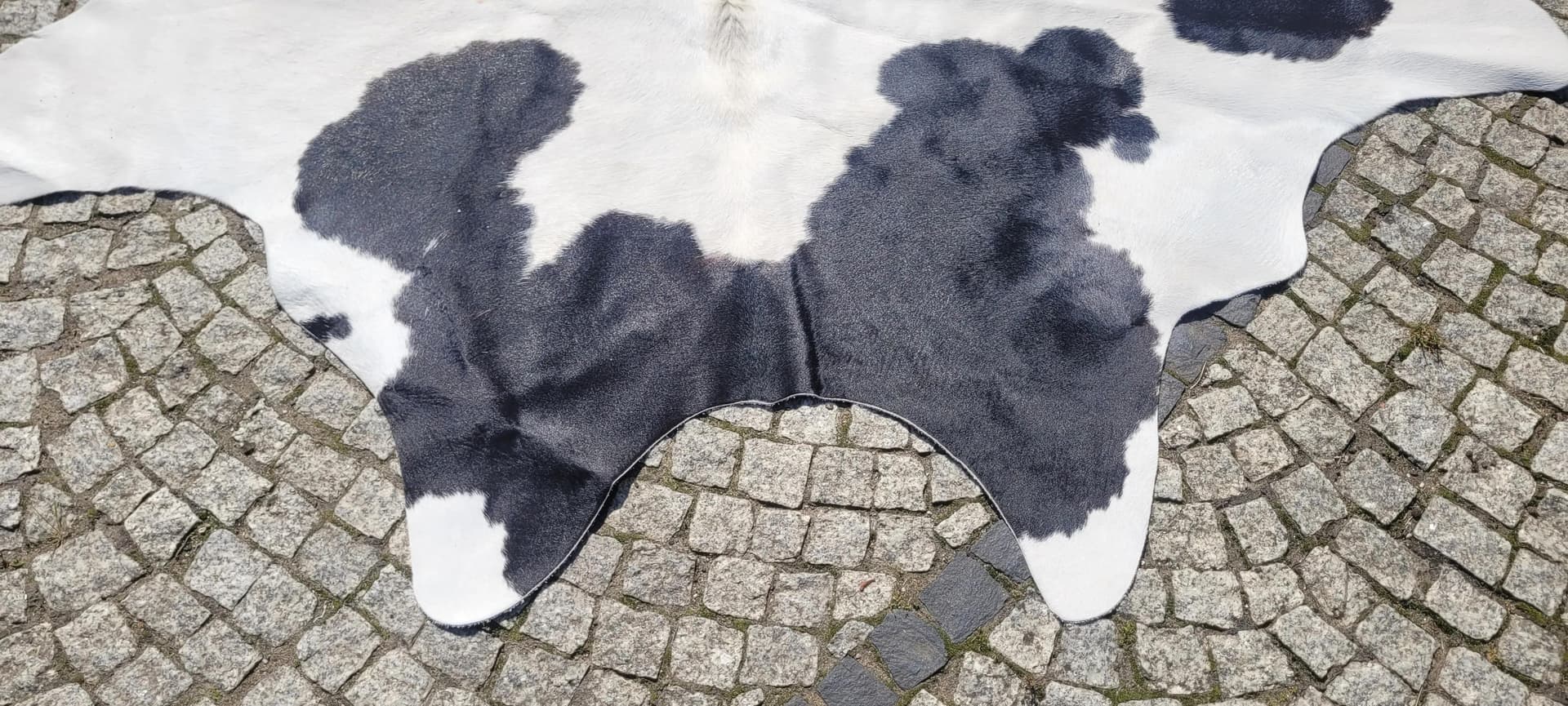 Dywan cielęcy, kremowy z czarnym, skóra cielęca, Polska - 87470