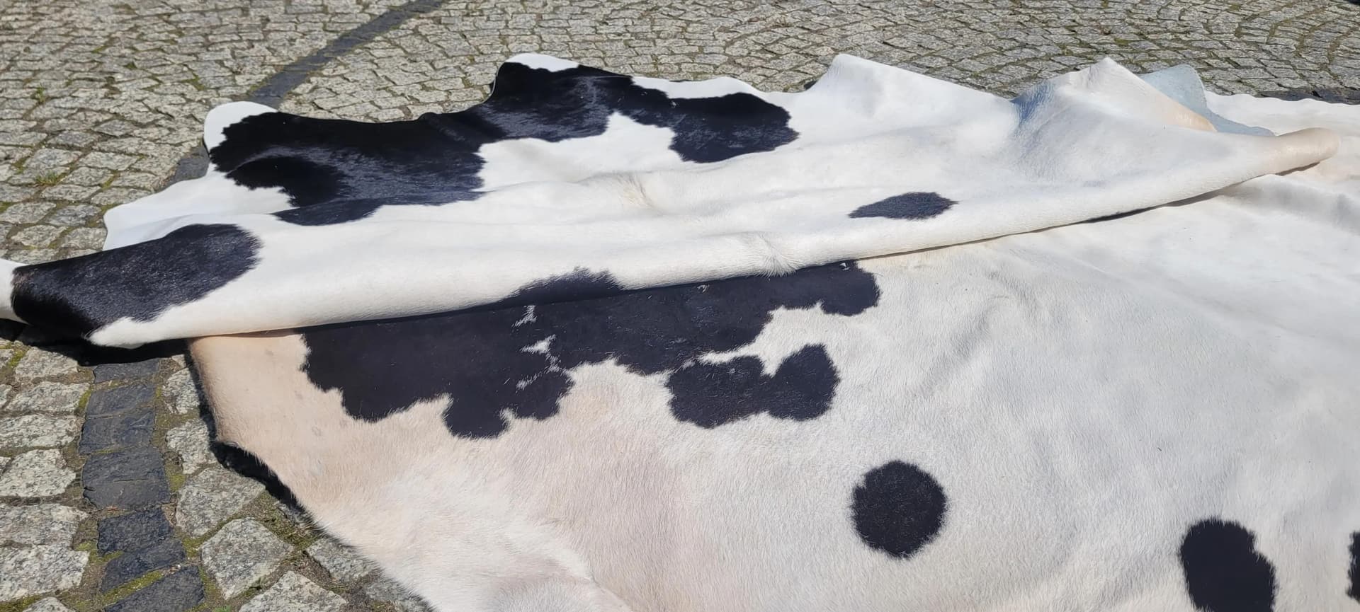 Dywan cielęcy, kremowy z czarnym, skóra cielęca, Polska - 87472