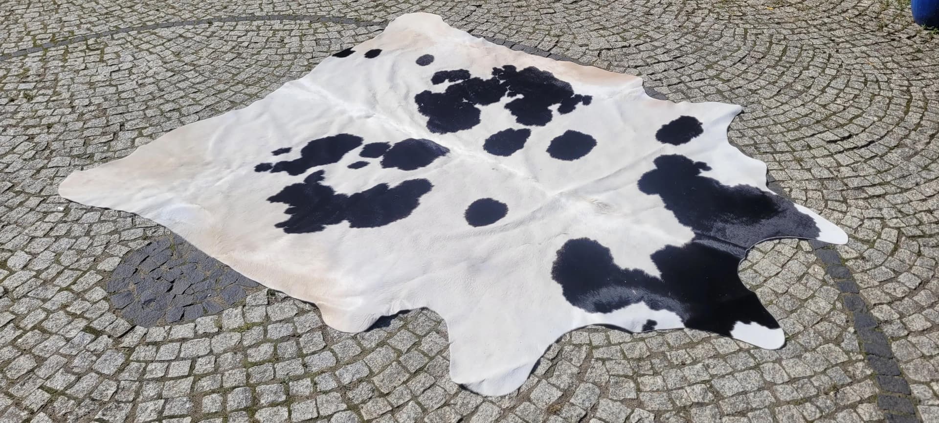 Dywan cielęcy, kremowy z czarnym, skóra cielęca, Polska - 87466