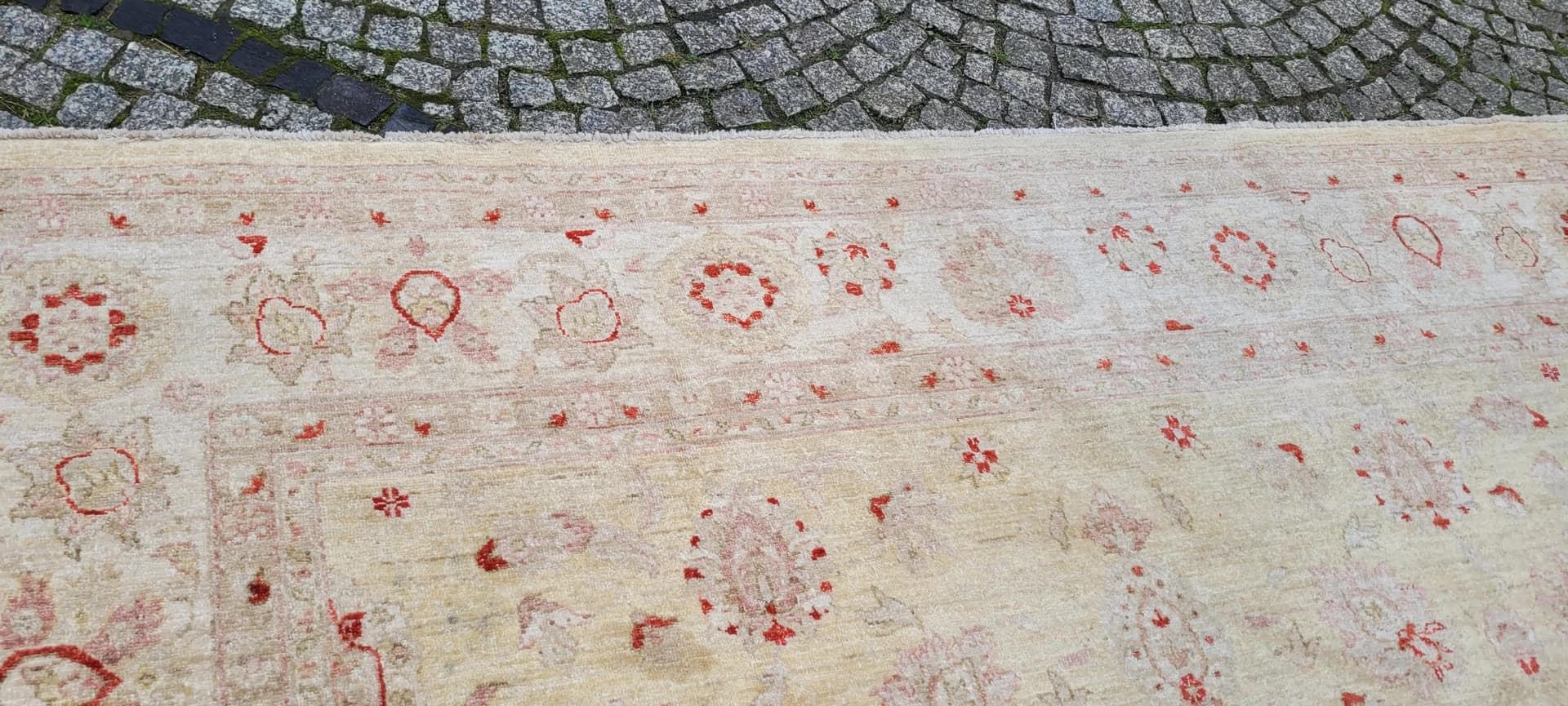 Dywan perski Ziegler 245x330 cm, beżowy, wełna, Pakistan - 87391