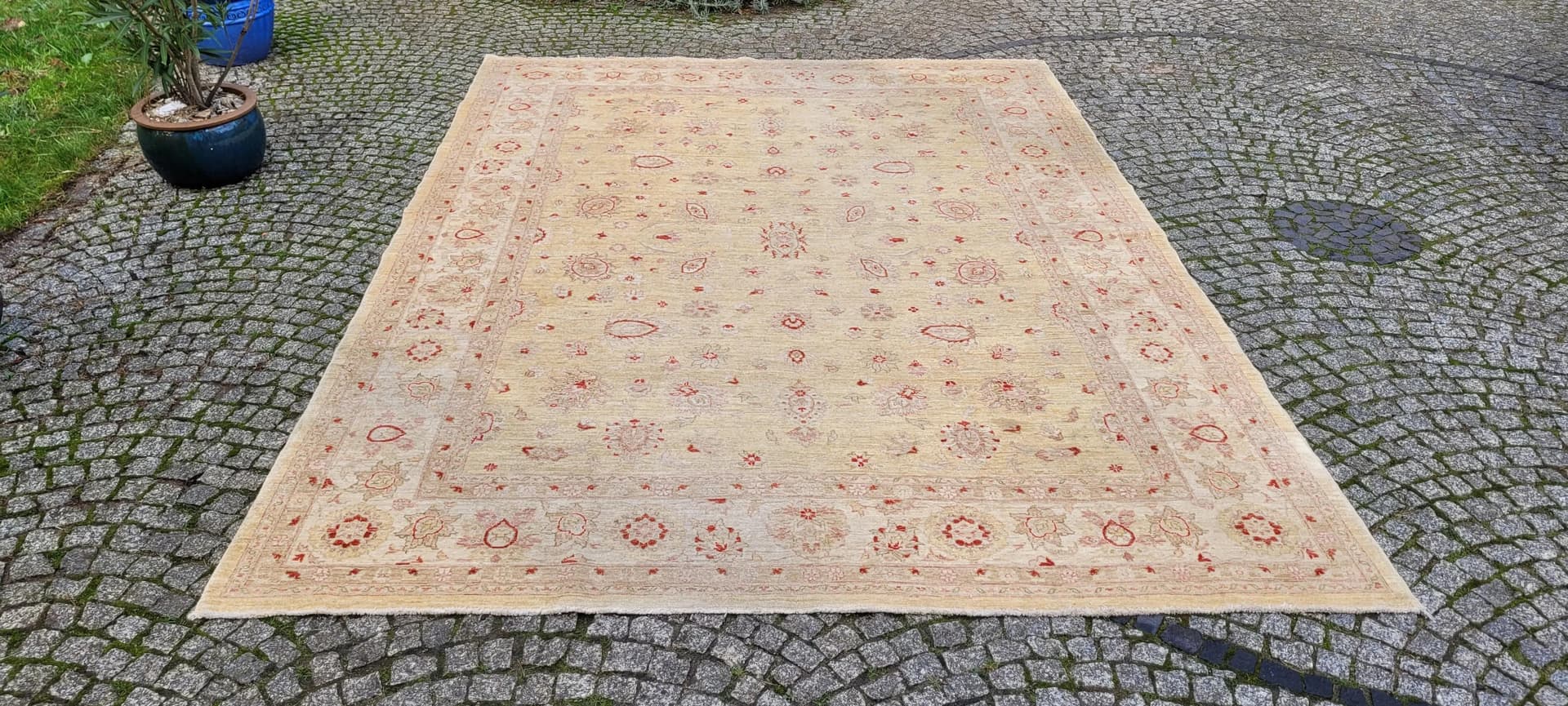 Dywan perski Ziegler 245x330 cm, beżowy, wełna, Pakistan - 87389