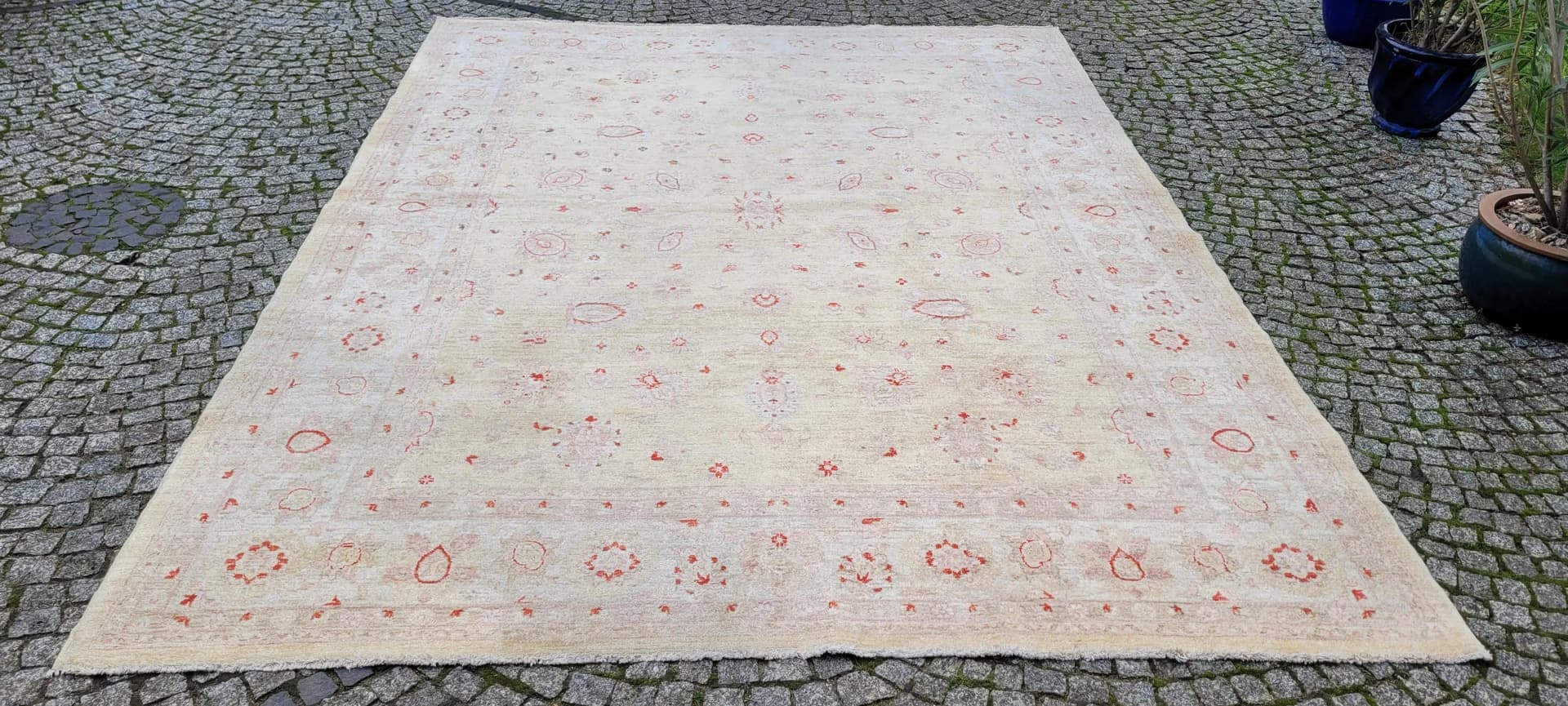 Dywan perski Ziegler 245x330 cm, beżowy, wełna, Pakistan - 87388