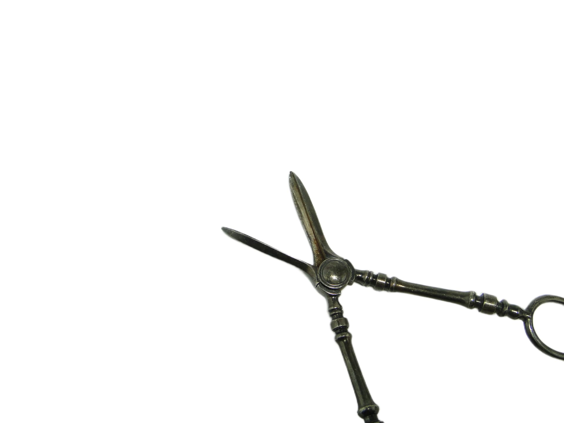 Grape scissors, Art Deco, silver-plated brass, Sweden, 1930s. - 94997