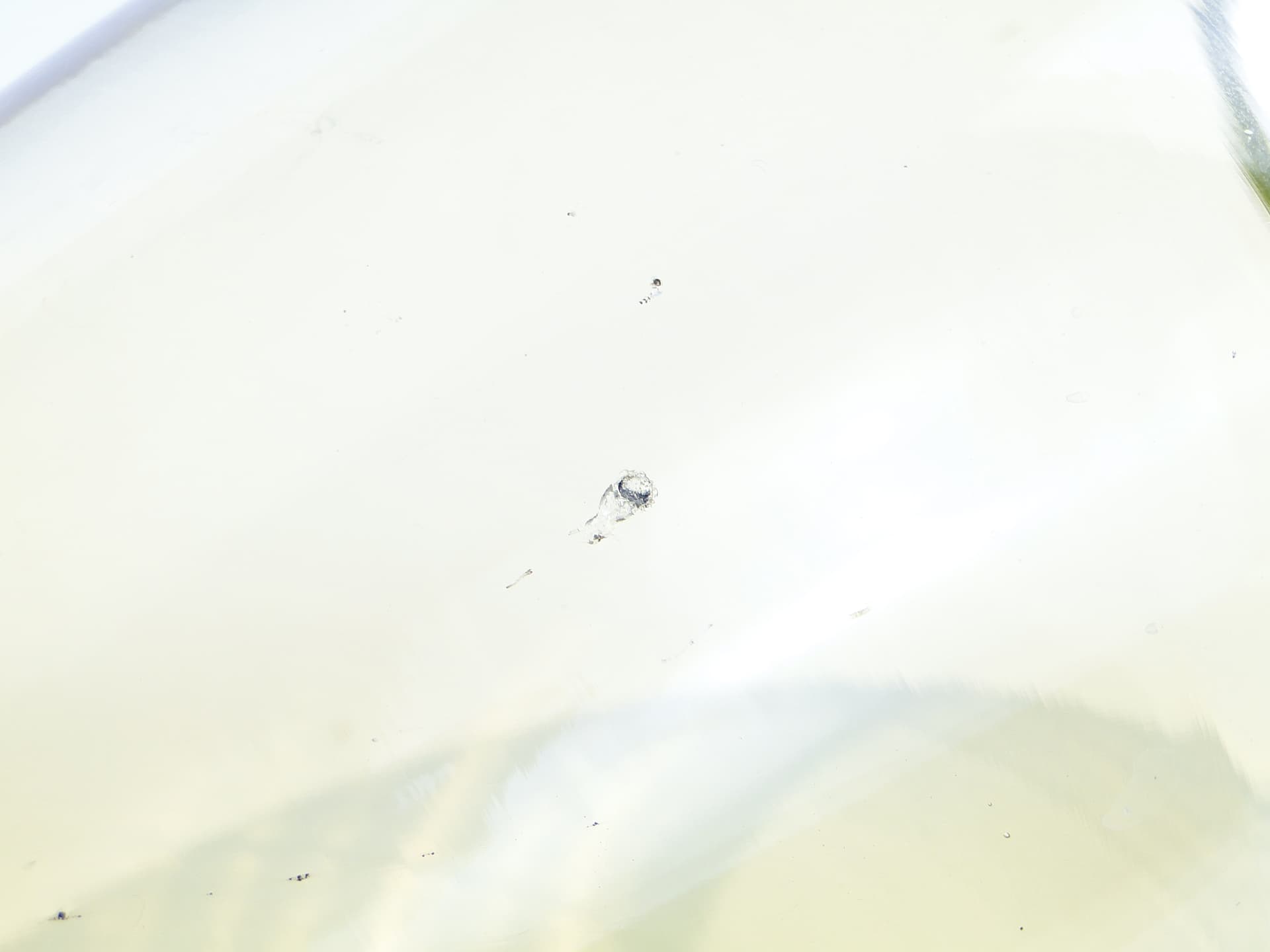 Wazon Modernizm, szkło uranowe, Moser, Czechosłowacja, lata 30. - 97459