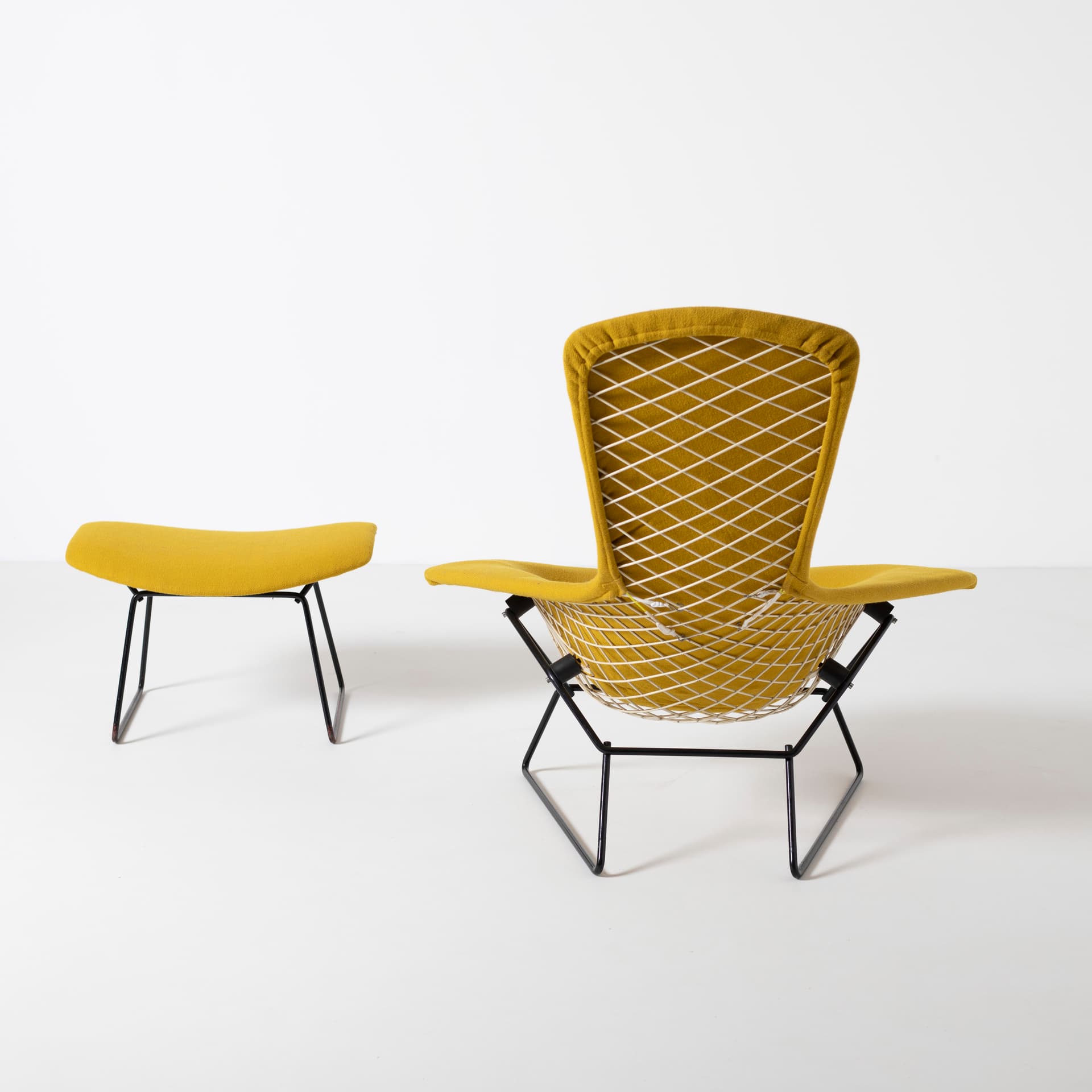 Fotel z podnóżkiem Bird, wełna musztardowa, metal czarny, proj. H. Bertoia, Knoll, USA, lata 60. - 96531