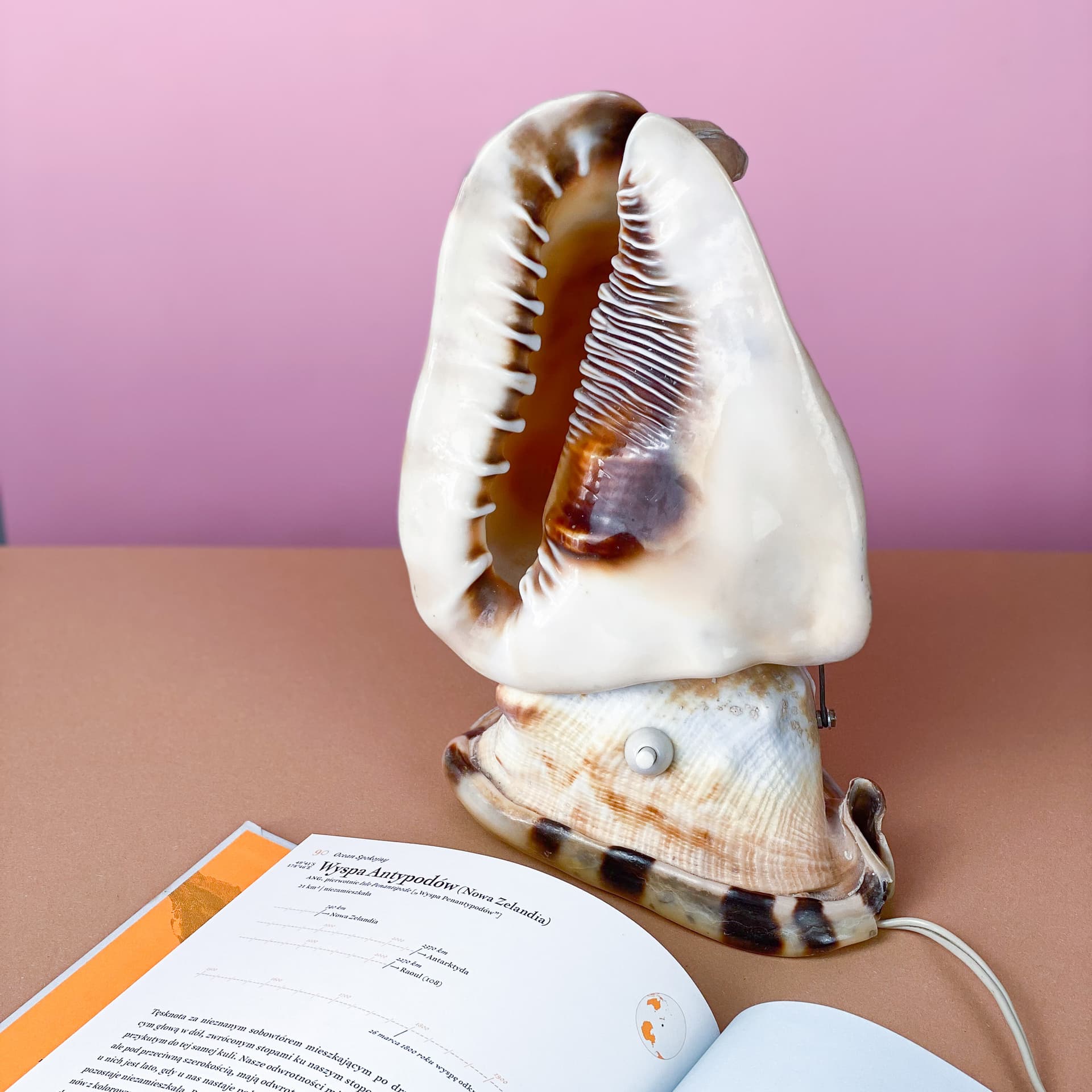 Lampka stołowa Queen Conch, kość słoniowa, muszla, lata 60. - 98914