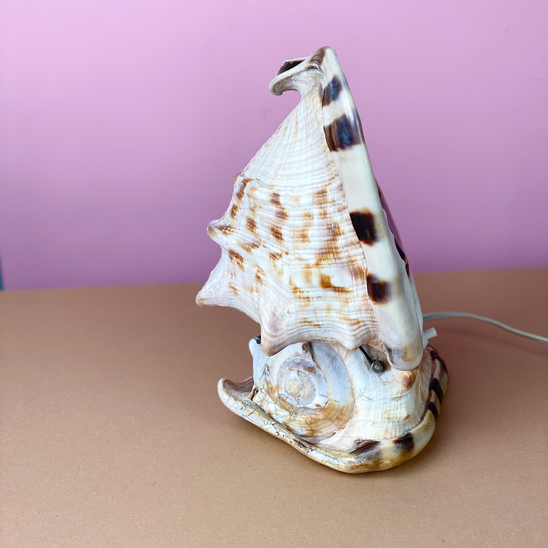 Lampka stołowa Queen Conch, kość słoniowa, muszla, lata 60. - 98912