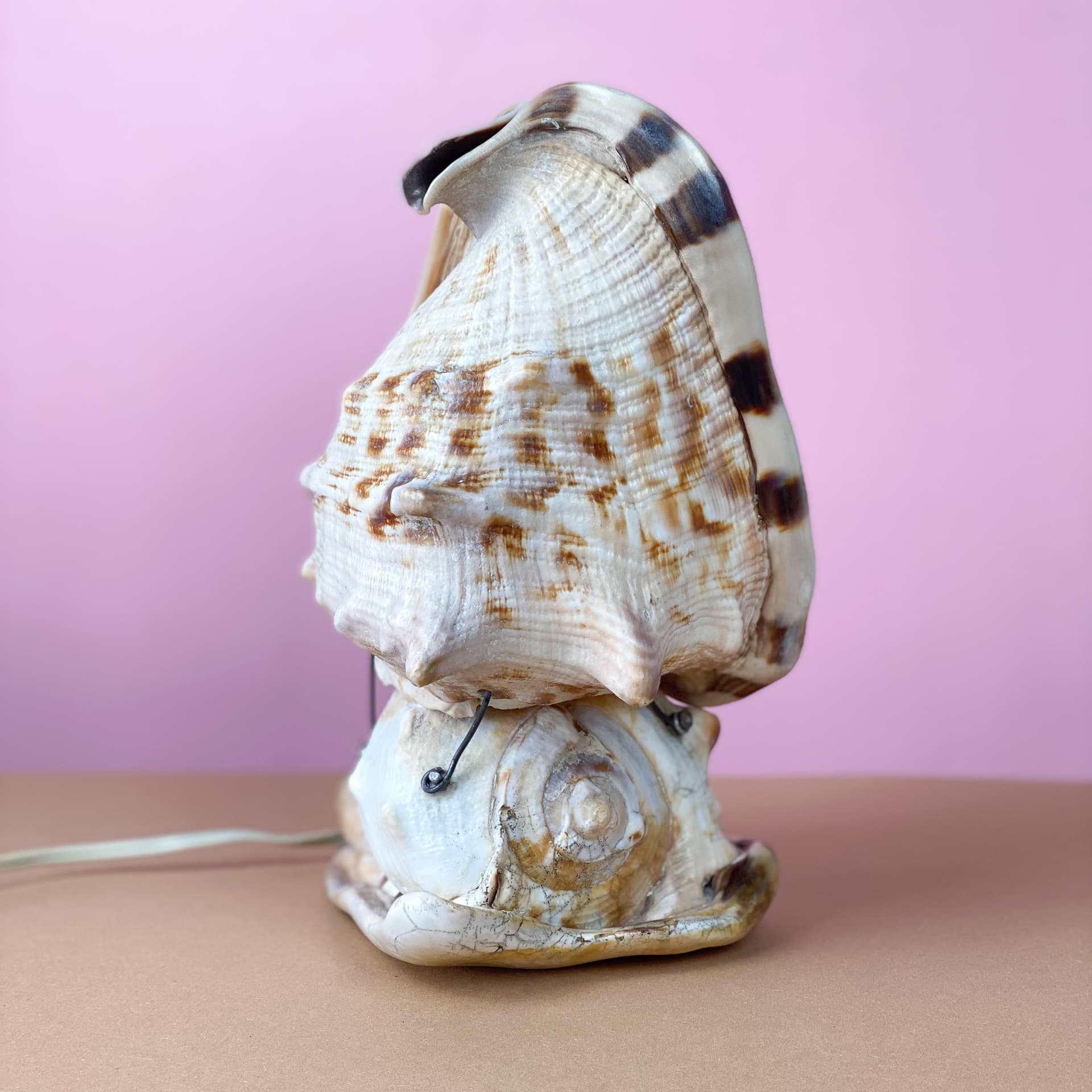 Lampka stołowa Queen Conch, kość słoniowa, muszla, lata 60. - 98909