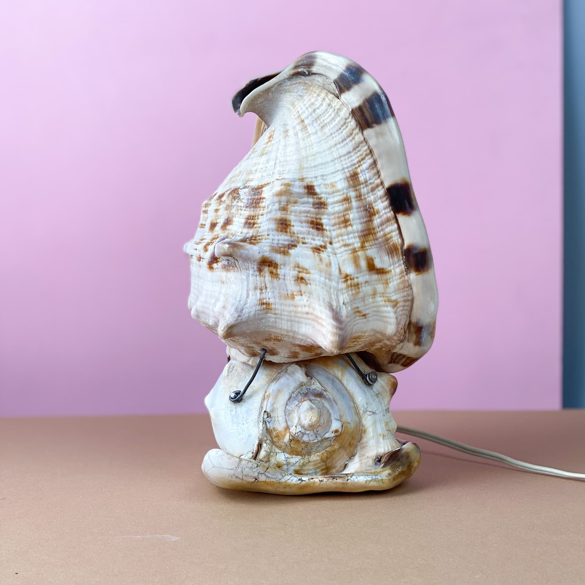 Lampka stołowa Queen Conch, kość słoniowa, muszla, lata 60. - 98913