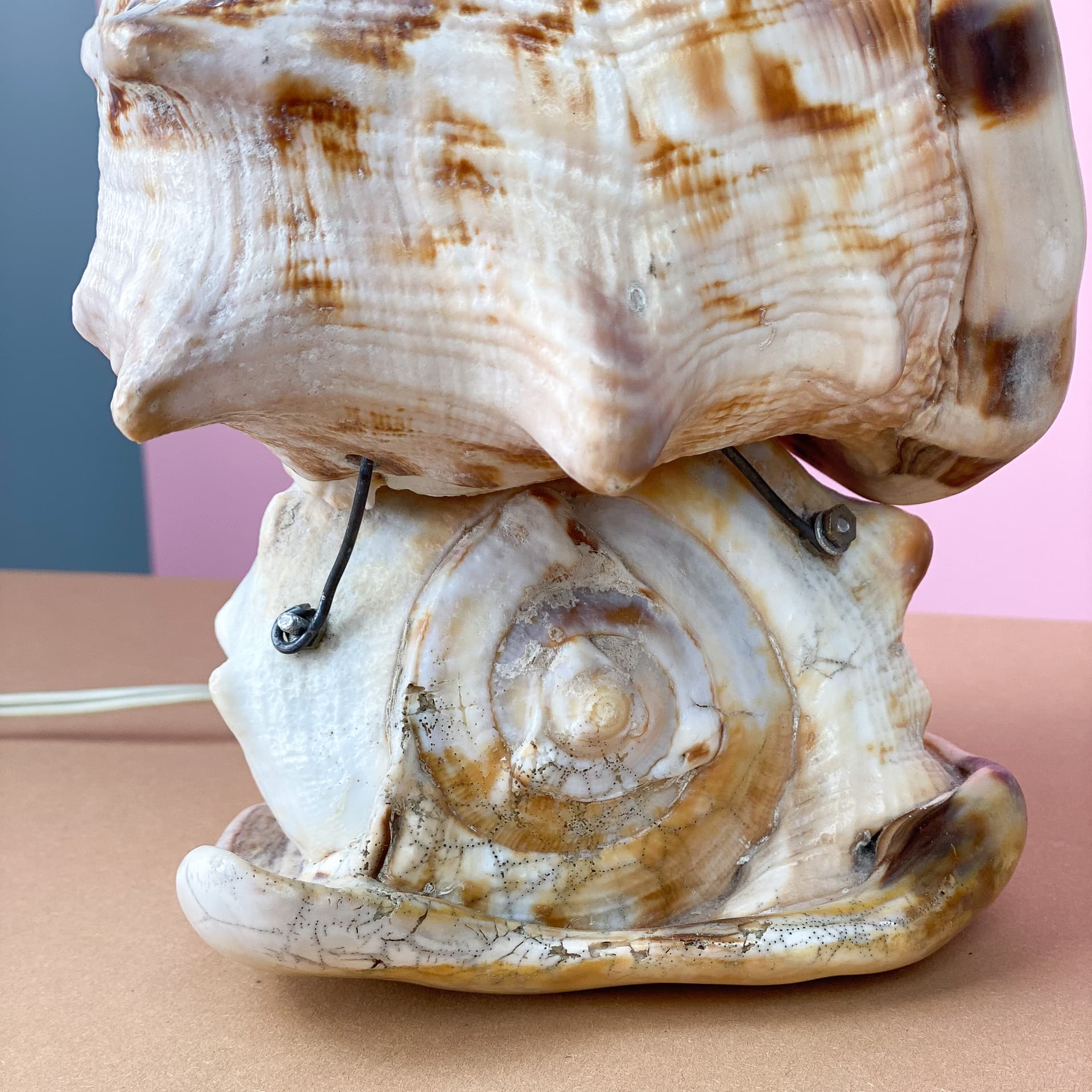 Lampka stołowa Queen Conch, kość słoniowa, muszla, lata 60. - 98916