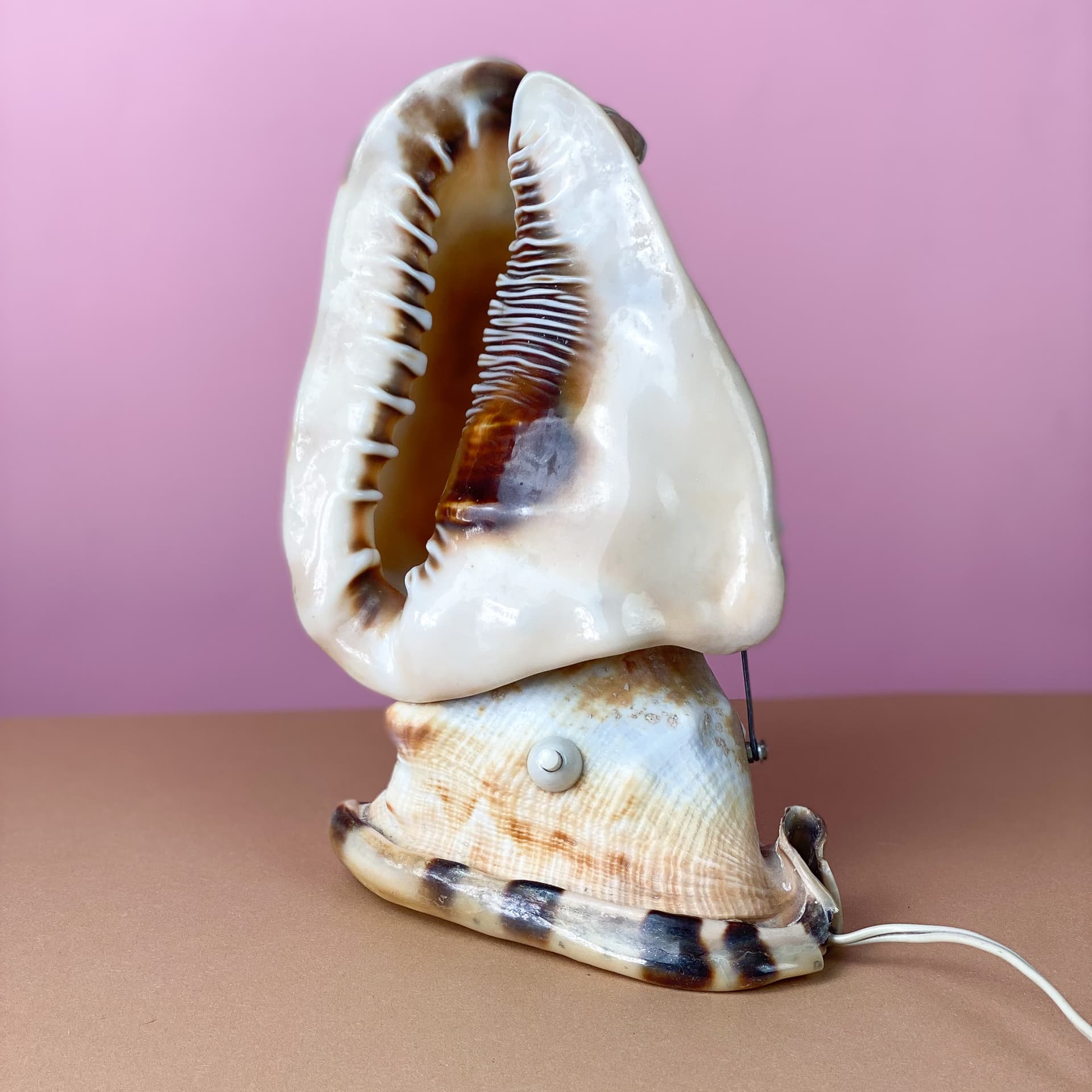 Lampka stołowa Queen Conch, kość słoniowa, muszla, lata 60. - 98908