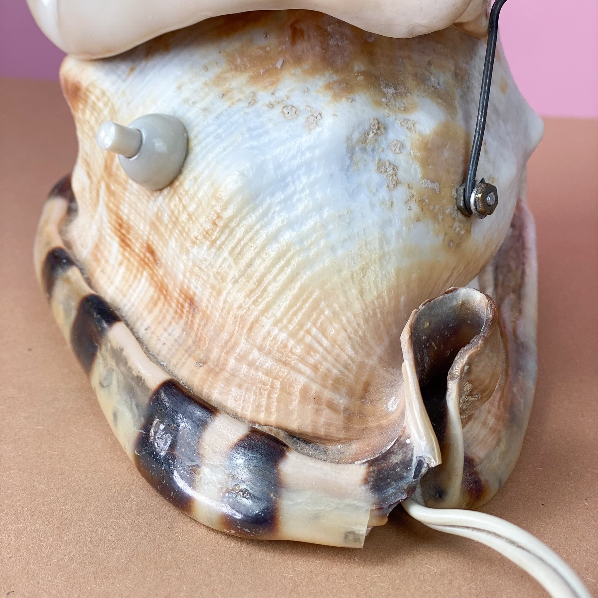 Lampka stołowa Queen Conch, kość słoniowa, muszla, lata 60. - 98911