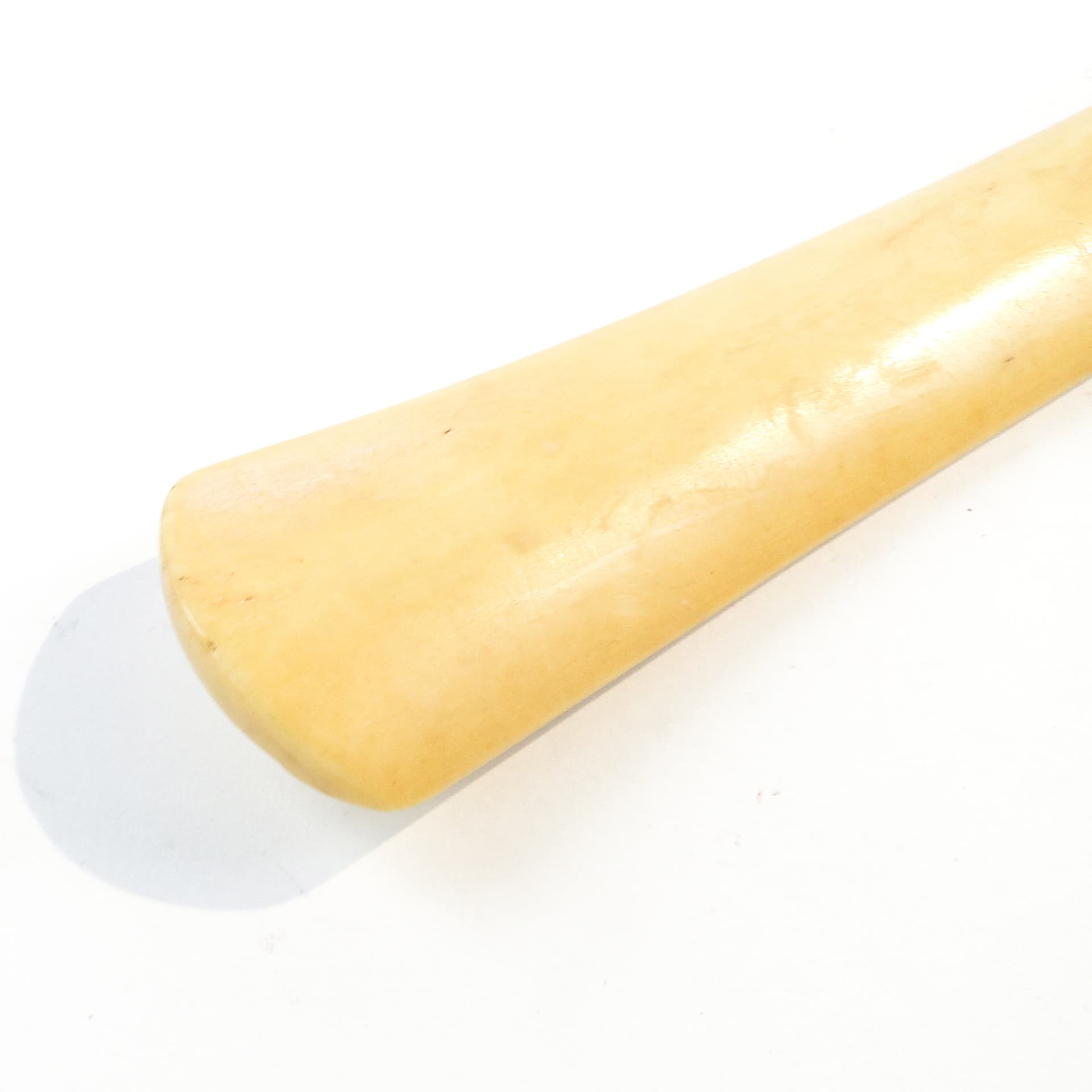 Łyżka do butów Art Nouveau, kość bawola, Austria, początek XX w. - 102281