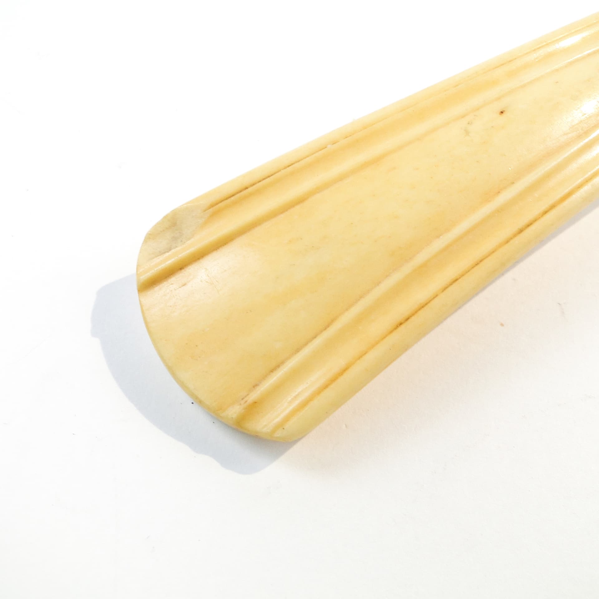 Łyżka do butów Art Nouveau, kość bawola, Austria, początek XX w. - 102277