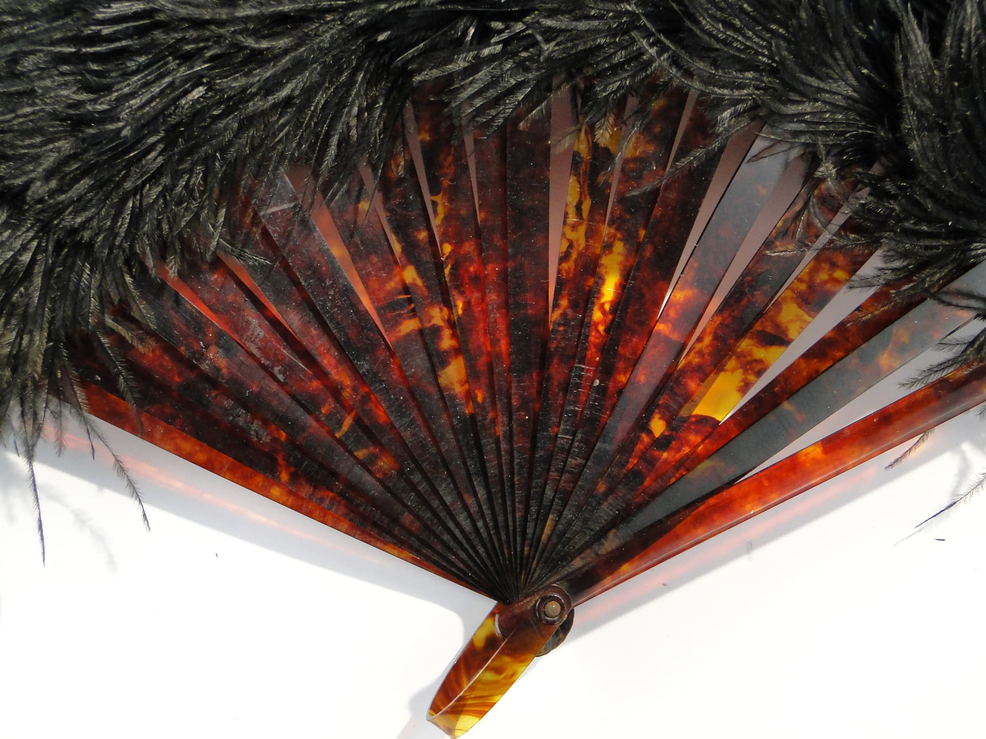 Ladies' Fan, black ostrich feathers, faux tortoiseshell, Austria, 19th c. - 7901