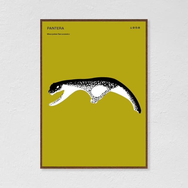 Plakat Pantera / kolorowa 40x50 cm, aut. K. Jasińska, GRA-FIKA - WYMIARY