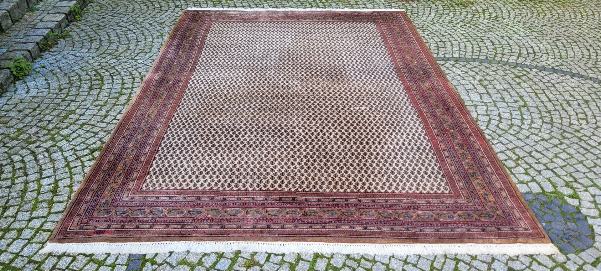 Rug Indo Sarough Mir 247x355 cm, beige wool, India - 130121