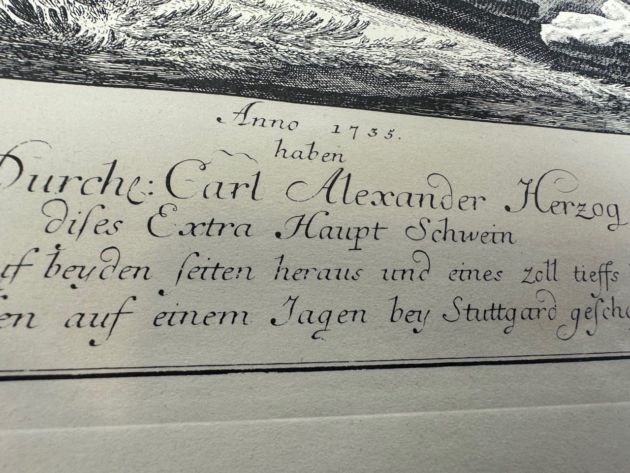 Etching Wild Boar, black and white, by J.E. Ridinger, Germany, 18th c. - 150703