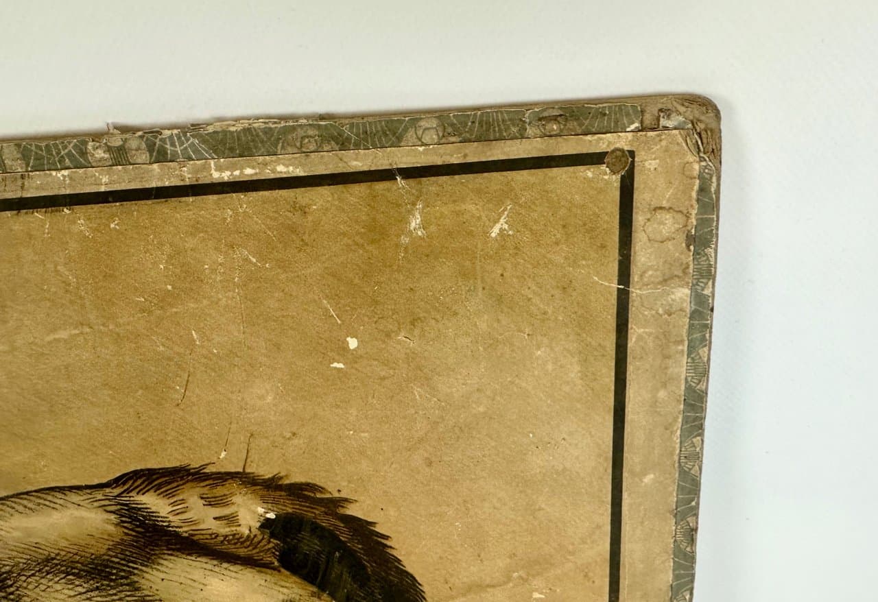 Tablica szkolna edukacyjna, multikolor, papier, Czechy, początek XX w. - 150889