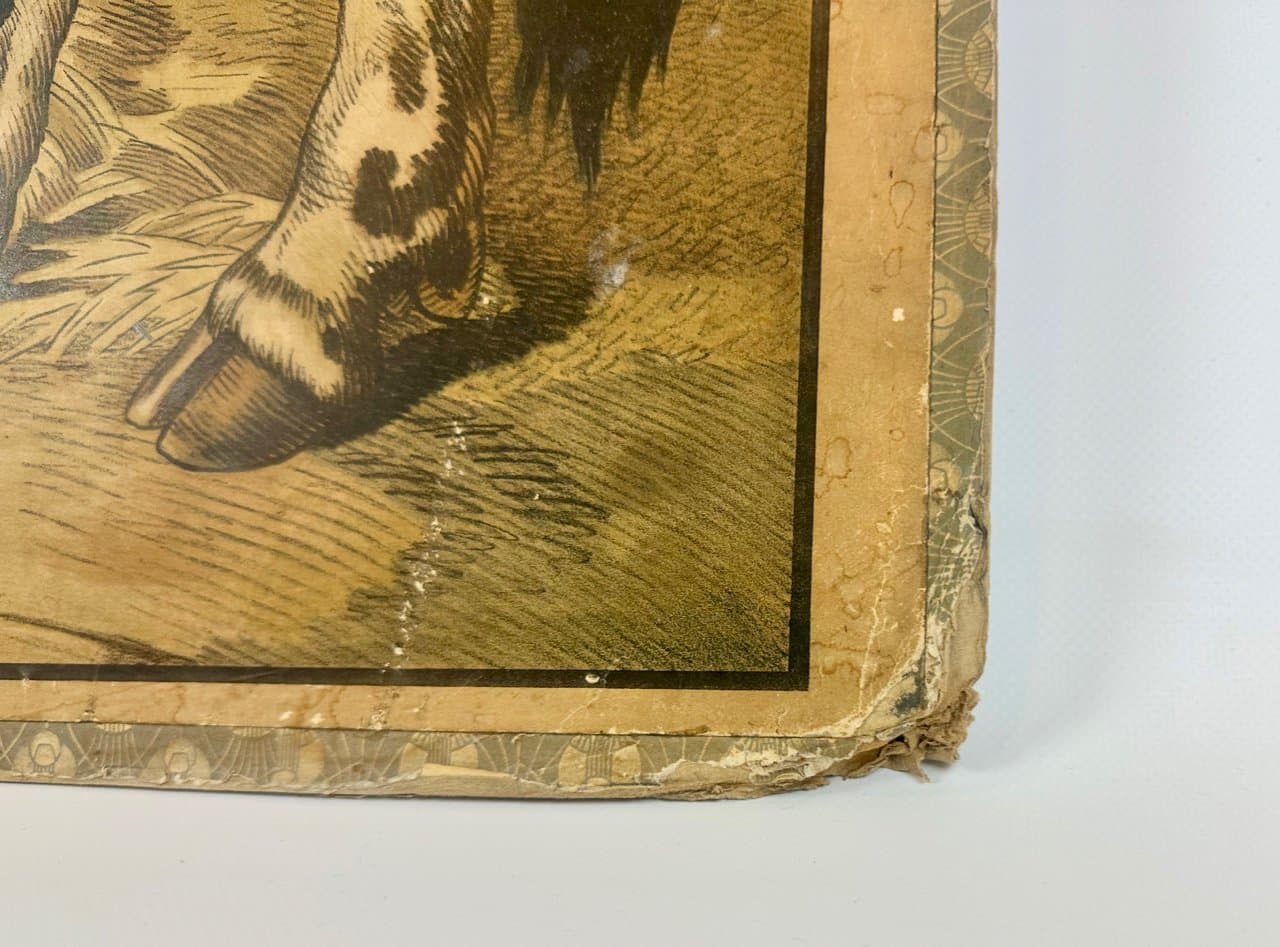 Tablica szkolna edukacyjna, multikolor, papier, Czechy, początek XX w. - 150890