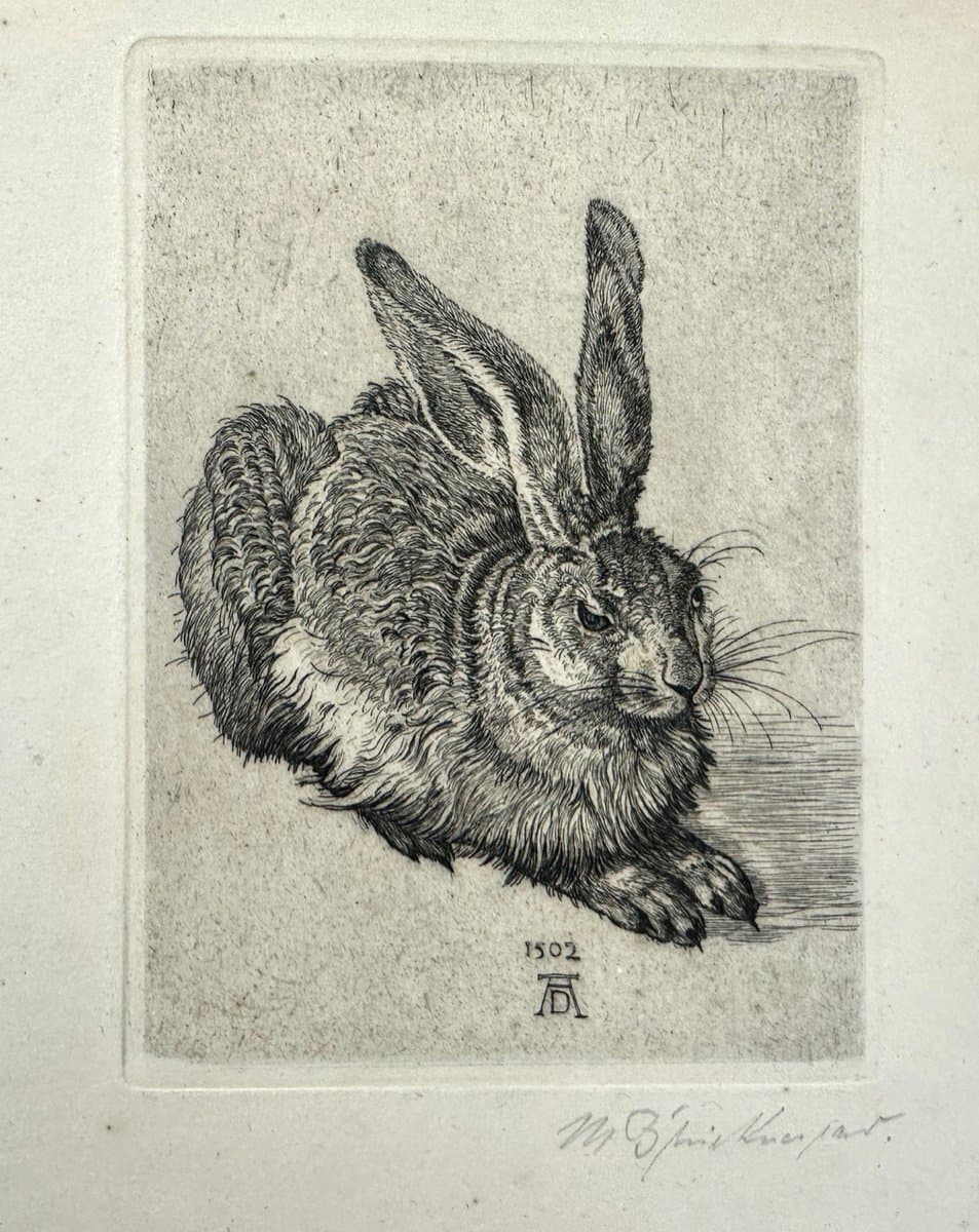 Print Young Hare, after A. Dürer, black, Germany, 19th c. - 151386