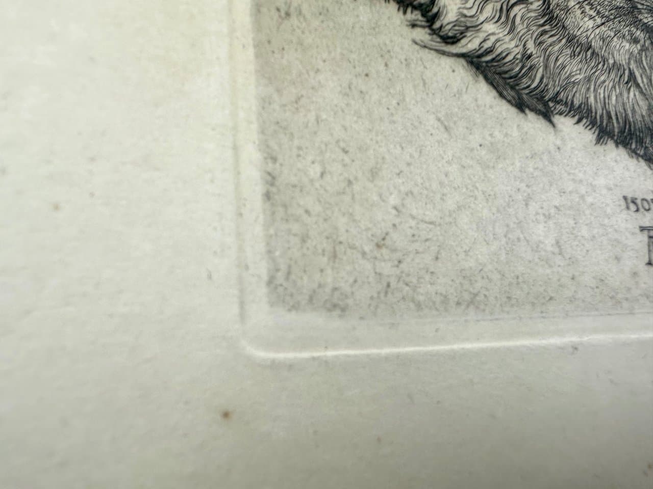 Print Young Hare, after A. Dürer, black, Germany, 19th c. - 151389