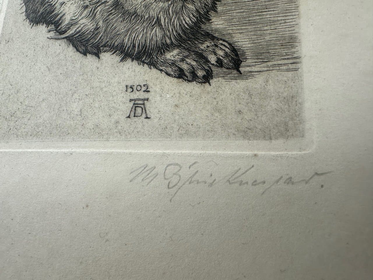 Print Young Hare, after A. Dürer, black, Germany, 19th c. - 151388