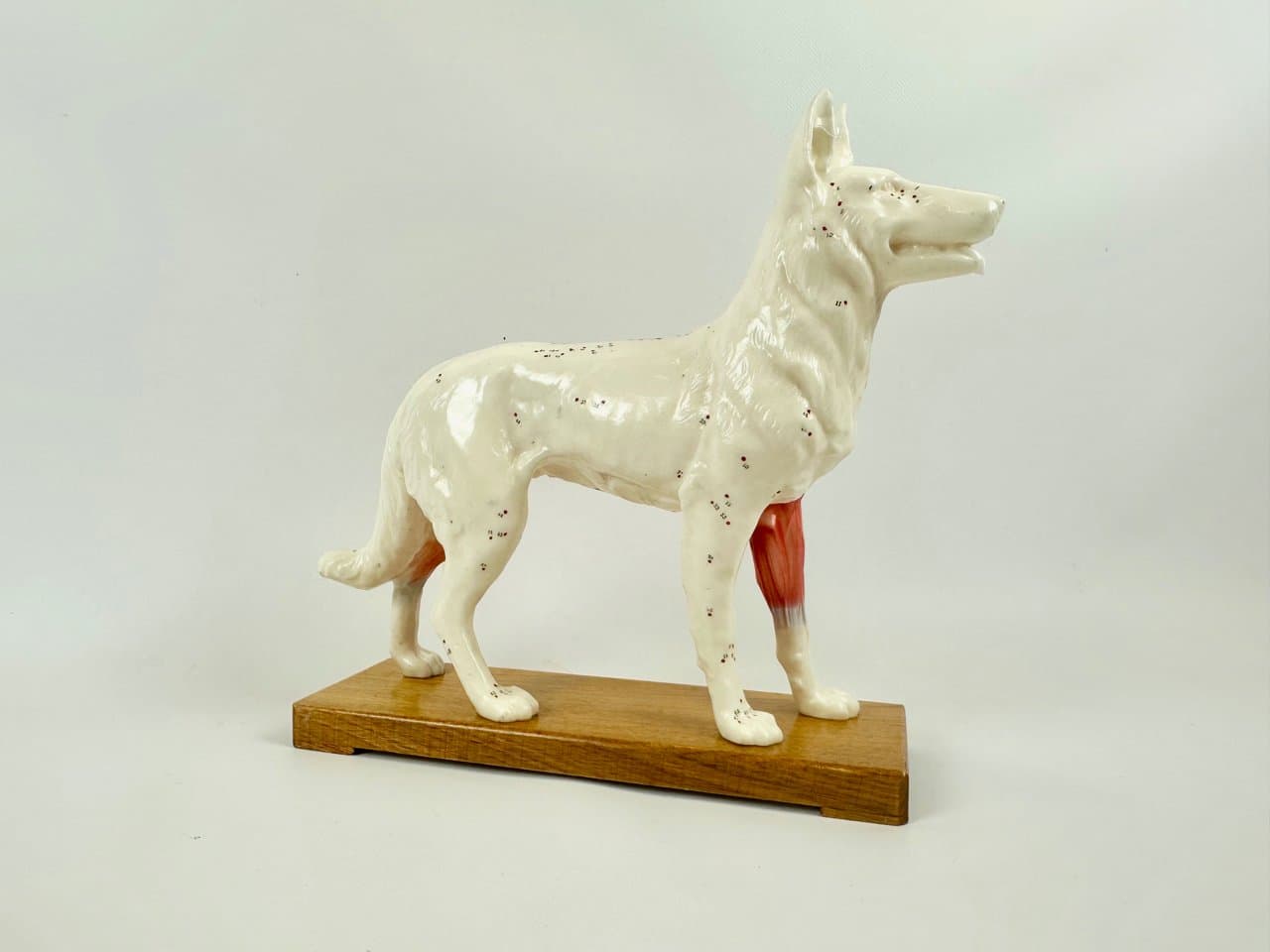 Figurka dydaktyczna psa, multikolor, winyl, lata 60. - 151538