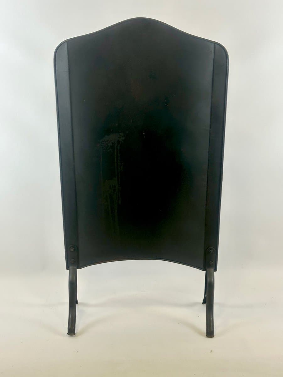 Firescreen Art Nouveau, black, cast iron steel, Germany, 1910s. - 151693