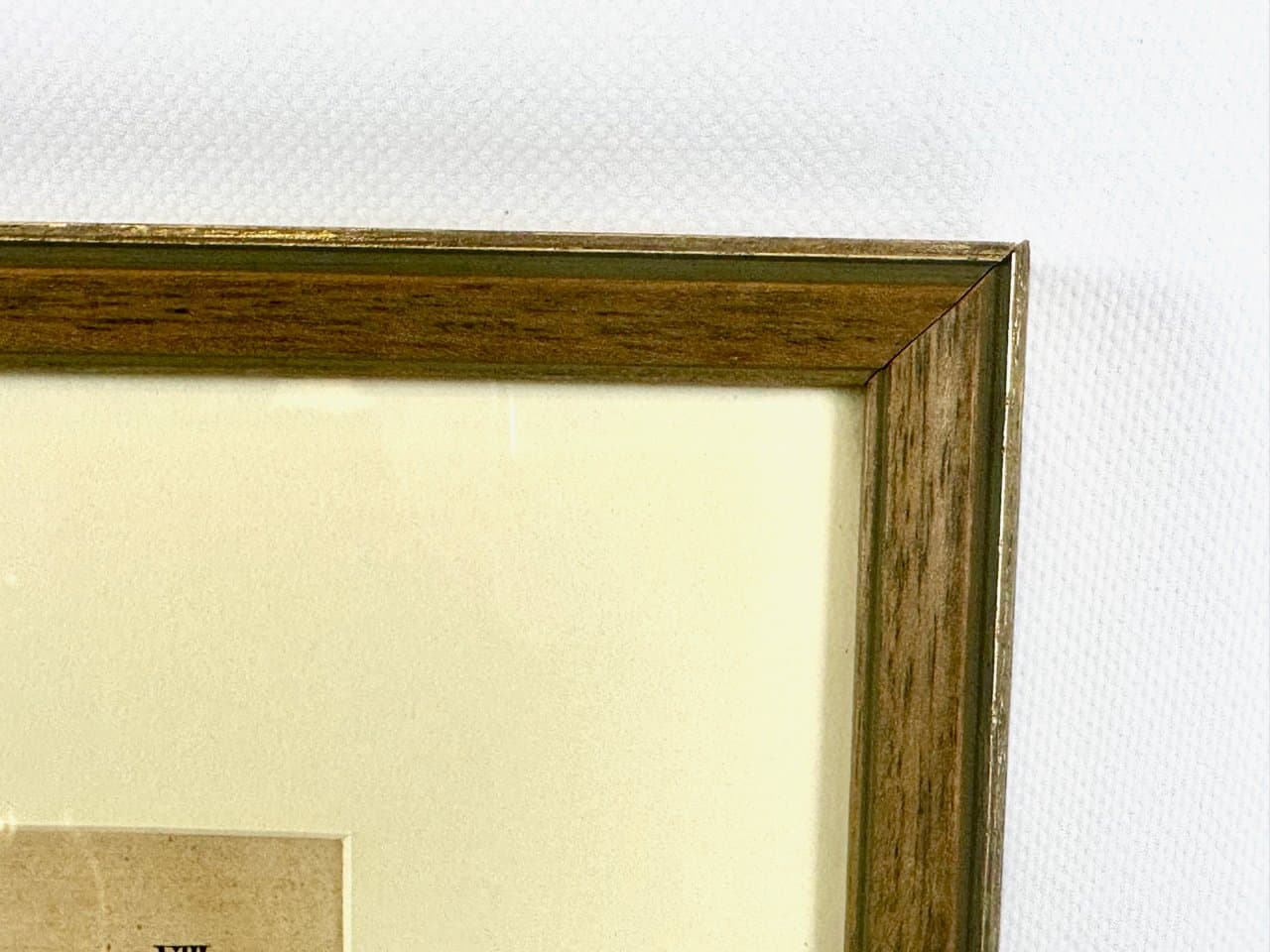 Print Turtles 55x45 cm, multicolored, copperplate engraving, by G.H. von Schubert, Germany, 19th c. - 151941