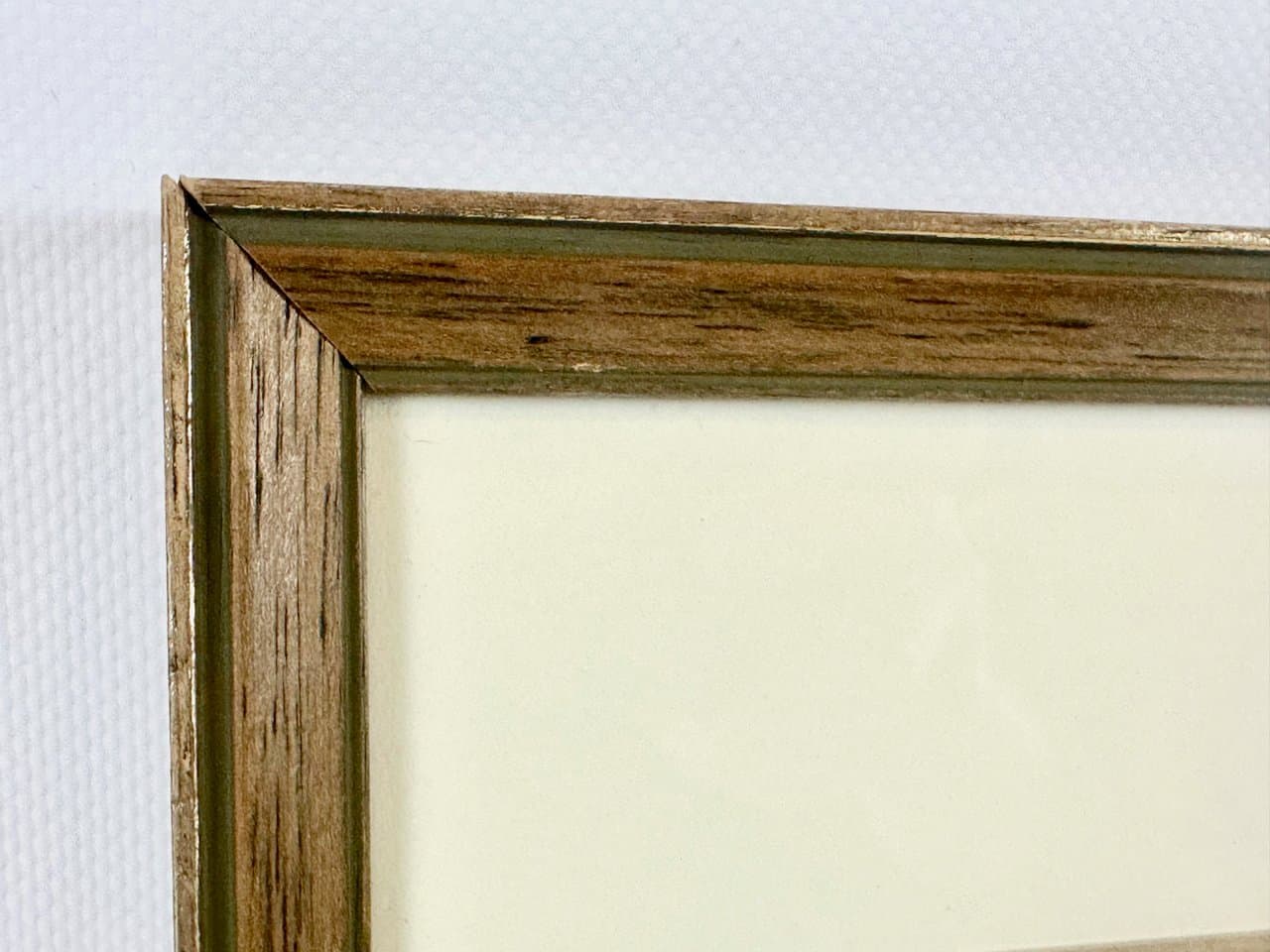 Print Turtles 55x45 cm, multicolored, copperplate engraving, by G.H. von Schubert, Germany, 19th c. - 151938