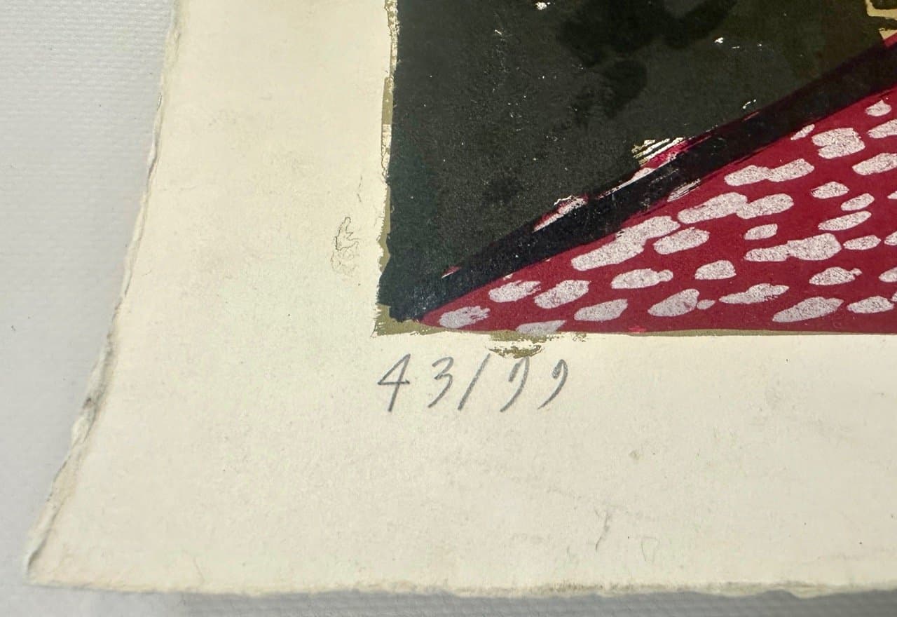 Lithograph, Various Subjects 70x50 cm, multicolor, by C. Zotti, Italy, 1970s. - 152938