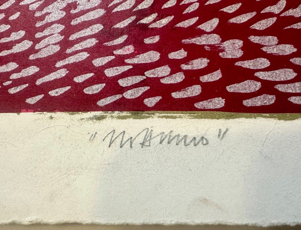 Lithograph, Various Subjects 70x50 cm, multicolor, by C. Zotti, Italy, 1970s. - 152940