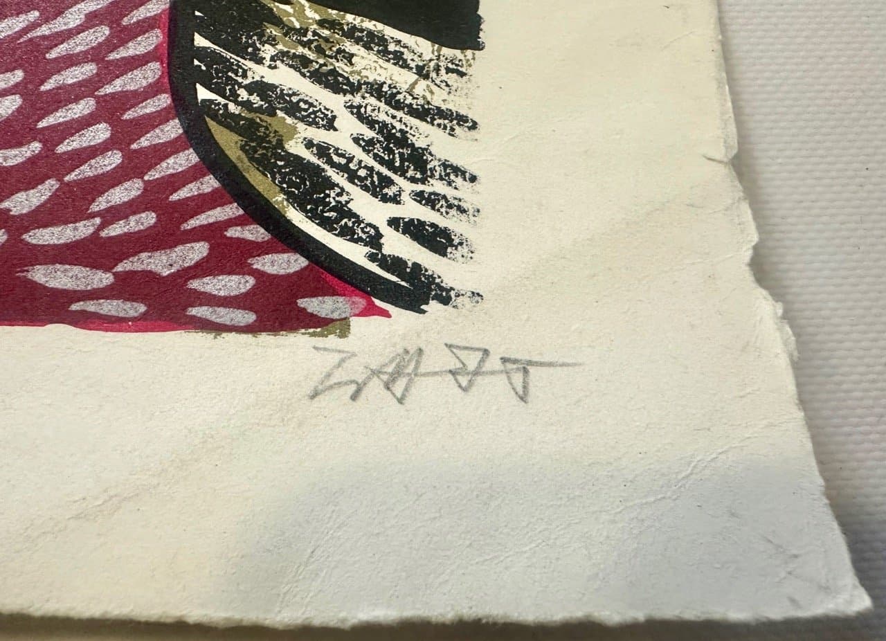 Lithograph, Various Subjects 70x50 cm, multicolor, by C. Zotti, Italy, 1970s. - 152939